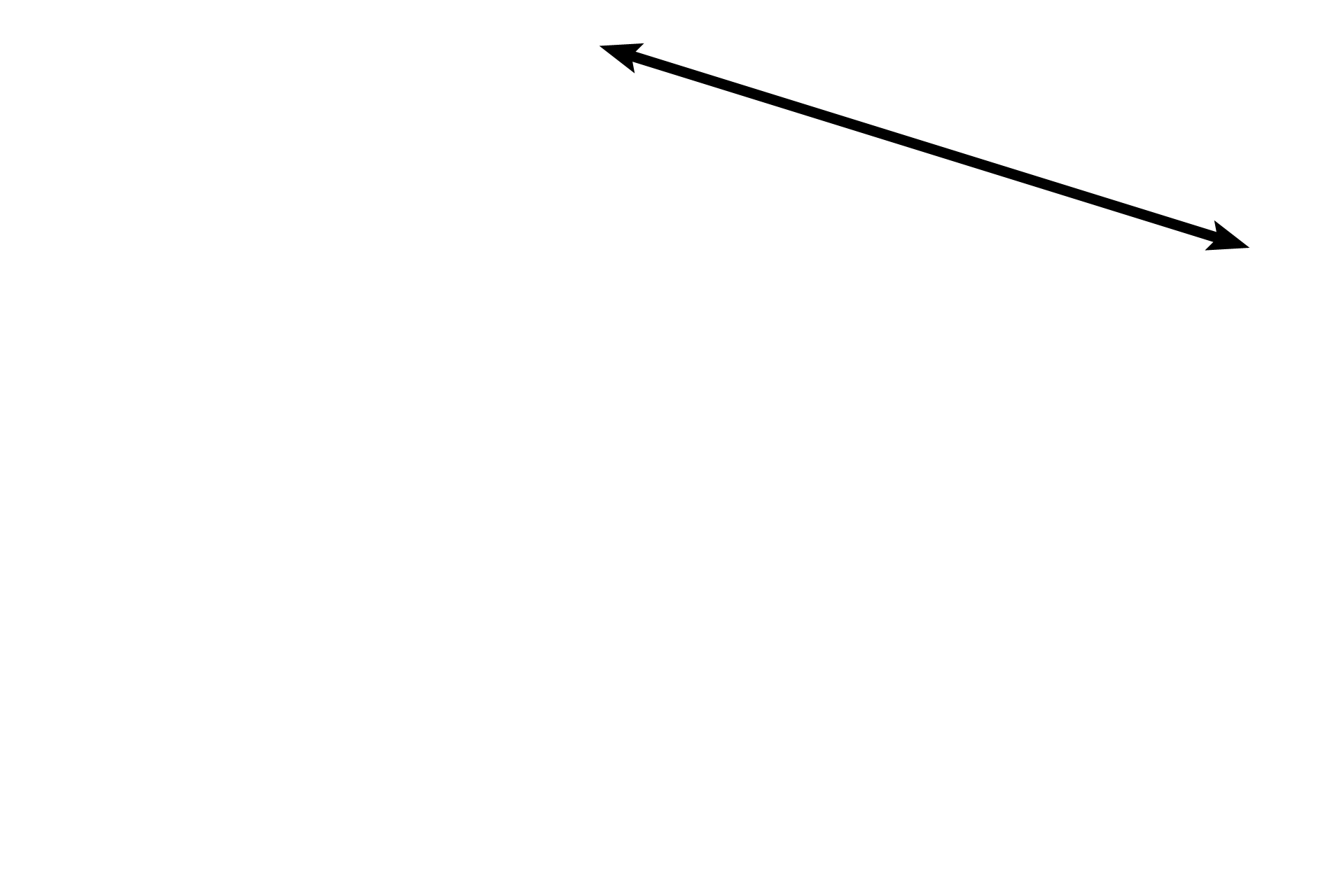Alveolar duct <p>The interalveolar septum is lined by a simple squamous epithelium and by septal cells. The frothy cytoplasm of septal cells reflects their production of surfactant. Septal cells are more numerous than type I cells, although they do not cover nearly as much surface area as type I cells. Septal cells divide to replenish both their own cell line and type I cells. 1000x </p>
