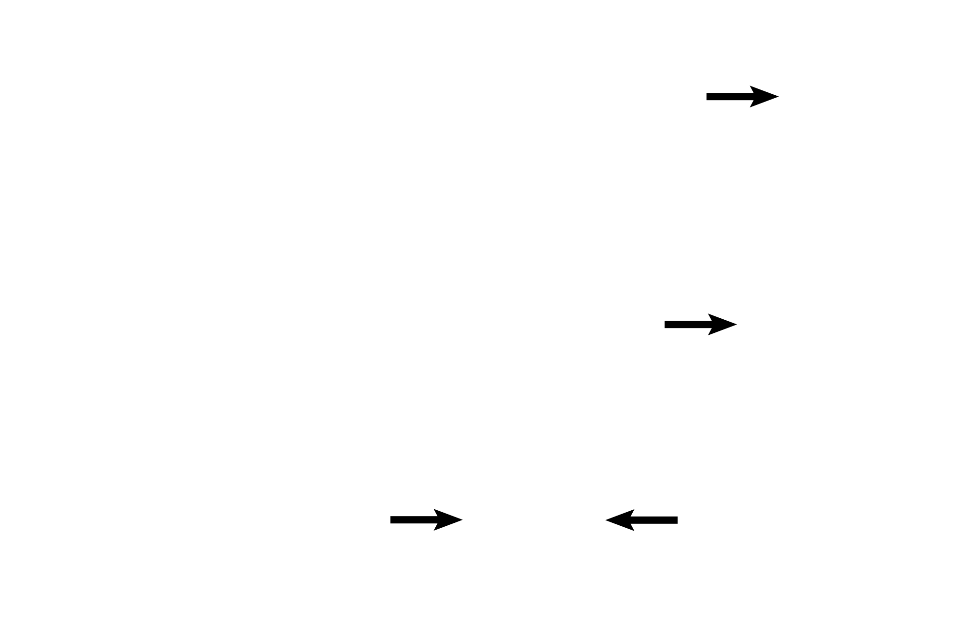 Endothelial cell nuclei <p>Type I cells line the alveolus, their nuclei protrude into the alveolar space.  Endothelial cell nuclei face the capillary lumen and are frequently curved to assume the shape of that lumen. Septal cells (type II alveolar cells) are large, vacuolated cells that bulge into the alveolus.</p>
