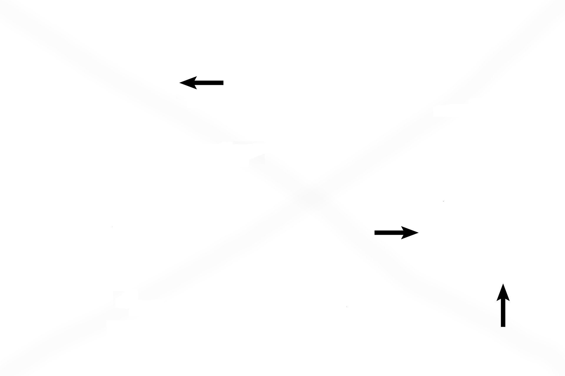  - Blood cells  <p>A single alveolus is seen attached to a pair of knobs forming part of the wall of an alveolar duct. An interalveolar septum separates adjacent alveoli. Capillaries bulge into an alveolus from the interalveolar septa, thus increasing the surface area for gaseous exchange. 1000x</p>
