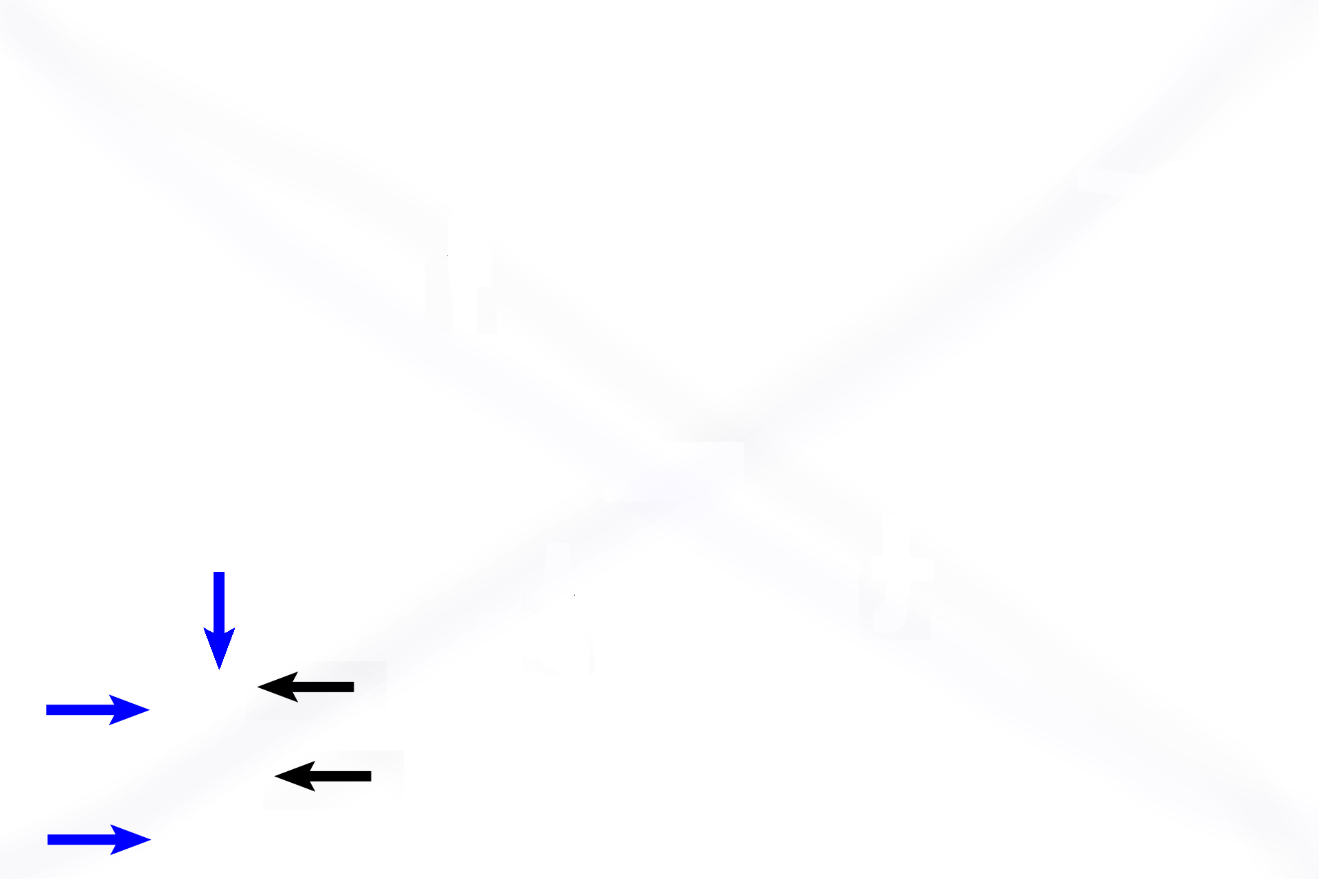 Alveolar sac >      <p>An alveolar sac is a group of alveoli (blue arrows) that are all attached to a single supporting ring (black arrows).</p>
