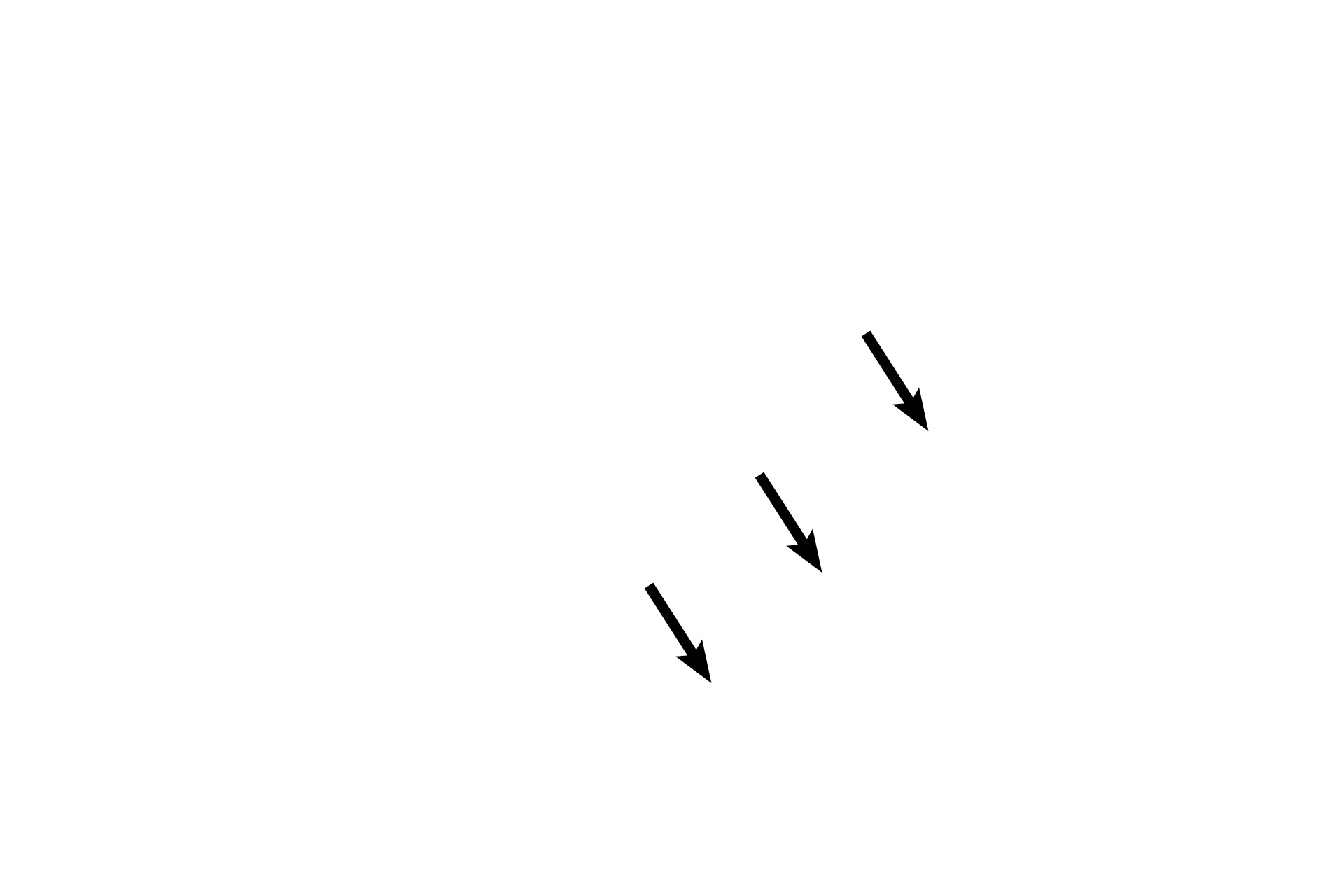 Terminal bronchiole <p>An edge of a terminal bronchiole is seen transitioning into a respiratory bronchiole. 100x</p>
