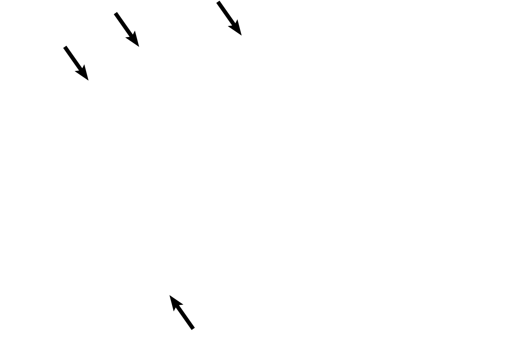  - Associated alveoli <p>An edge of a terminal bronchiole is seen transitioning into a respiratory bronchiole. 100x</p>
