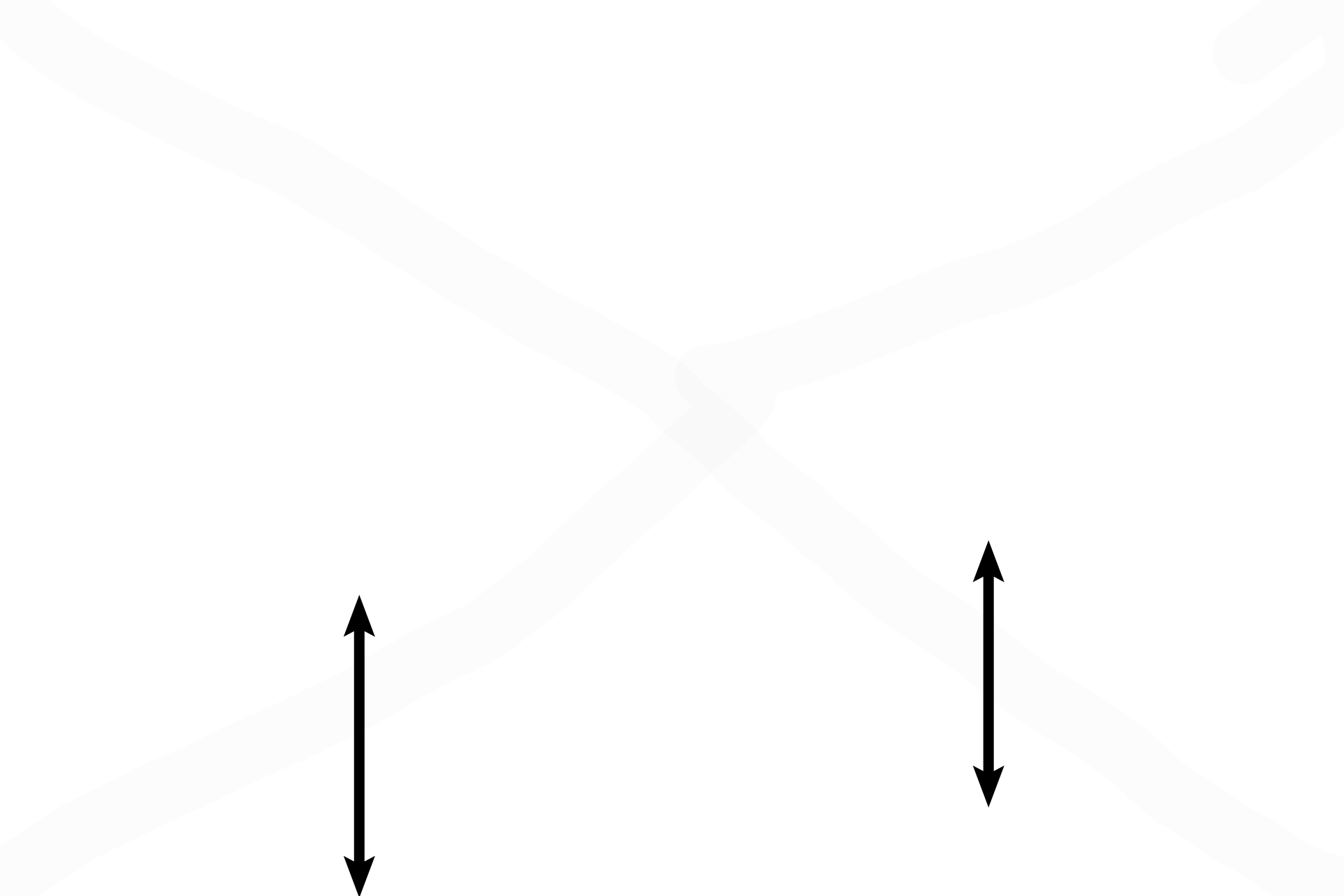 Supporting layer > <p>Cartilage or bone supports the walls of the larger passageways, keeping the lumen open (patent). This supporting layer diminishes and eventually disappears as passageways become smaller in diameter. </p>
