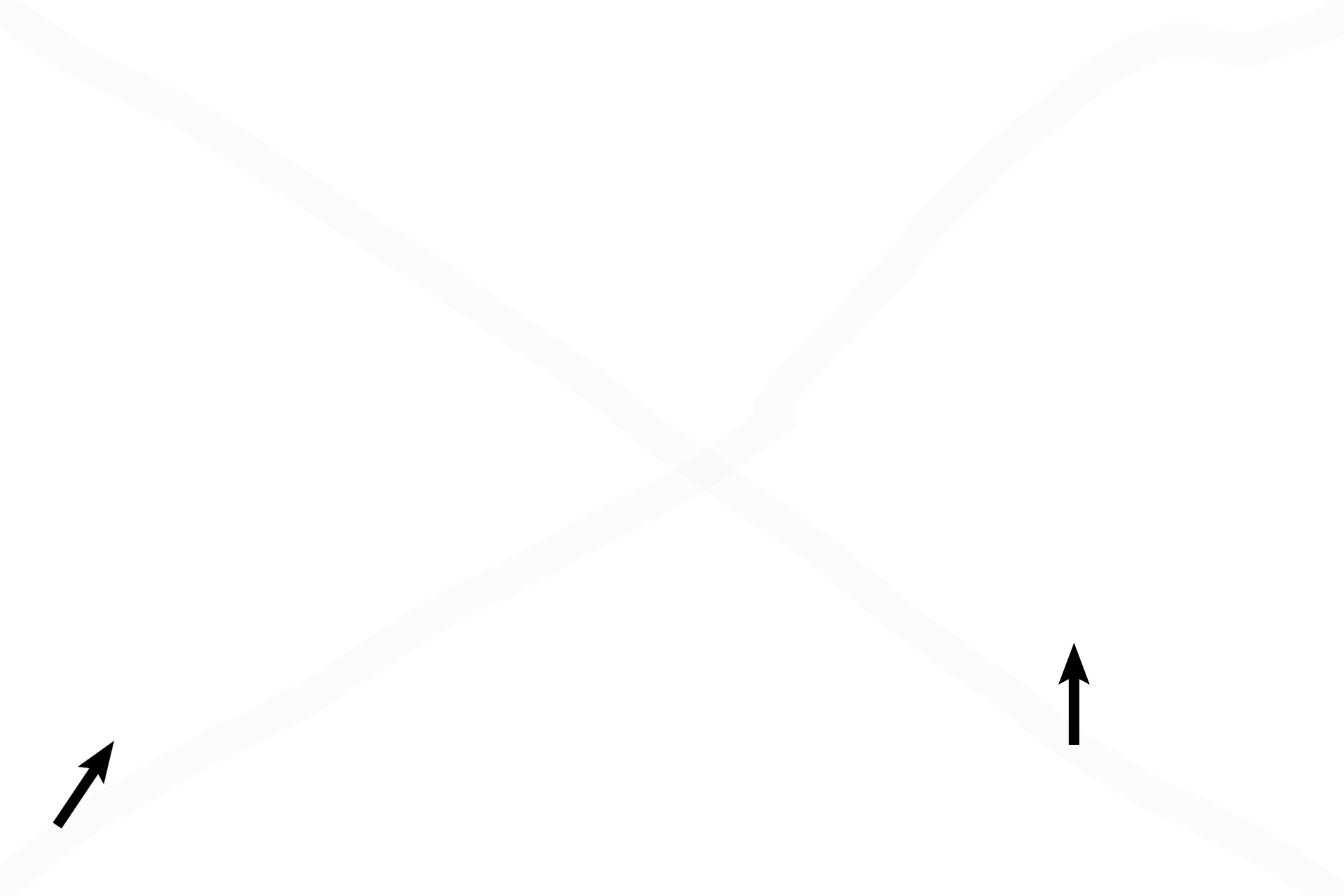 Basement membrane <p>The epithelium that lines much of the respiratory system is pseudostratified columnar; the basement membrane is often very prominent. This epithelium typically possesses goblet cells and cilia. 1000x</p>
