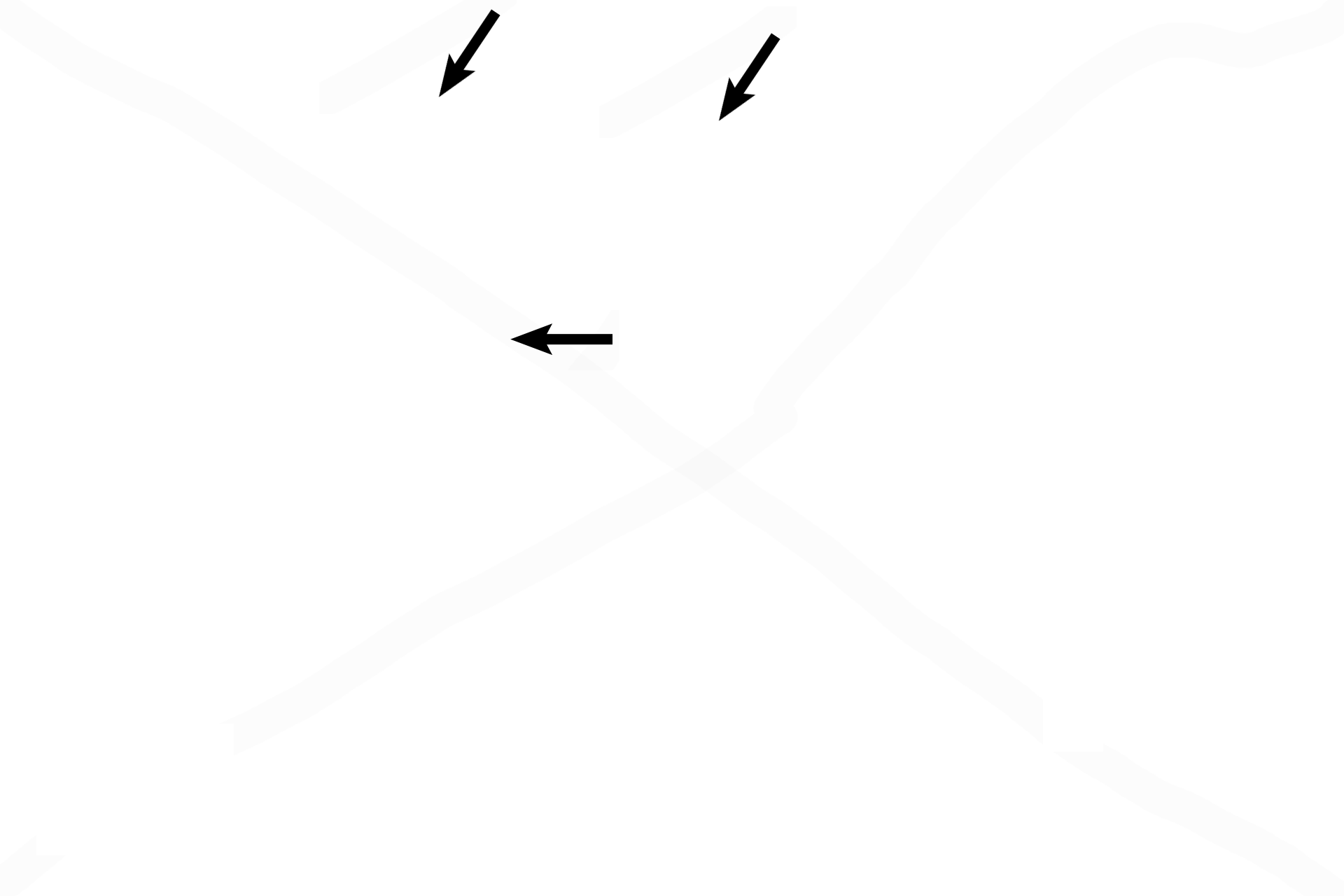 Cilia <p>The epithelium that lines much of the respiratory system is pseudostratified columnar; the basement membrane is often very prominent. This epithelium typically possesses goblet cells and cilia. 1000x</p>
