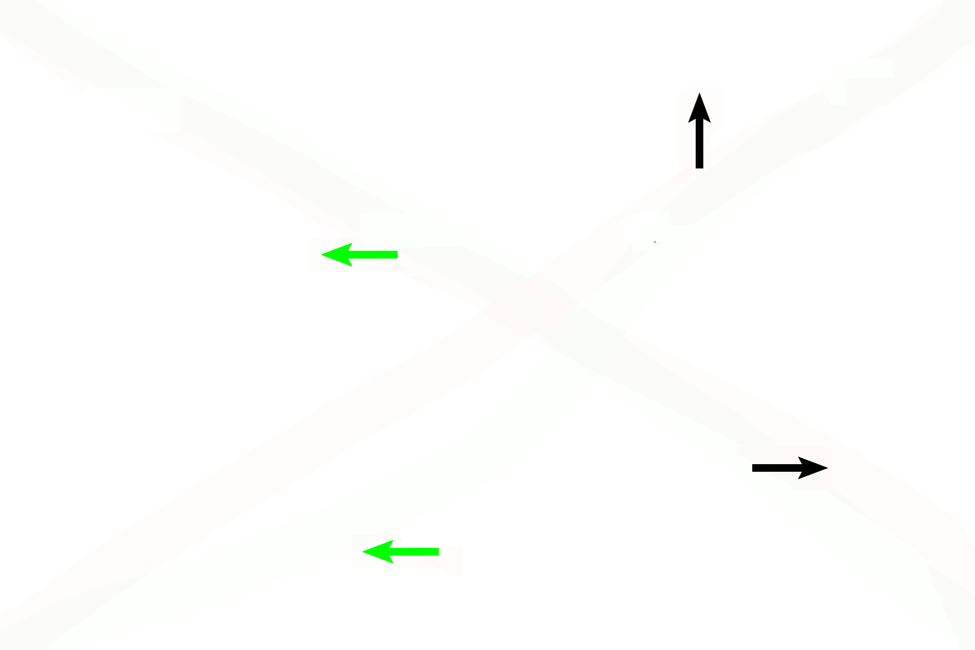 Connective tissue core > <p>The alveolar epithelium rests on a thin core of connective tissue consisting of elastic and reticular fibers and various connective tissue cells.  An extensive capillary network is present here, which bulges into the alveolar lumens.</p>
