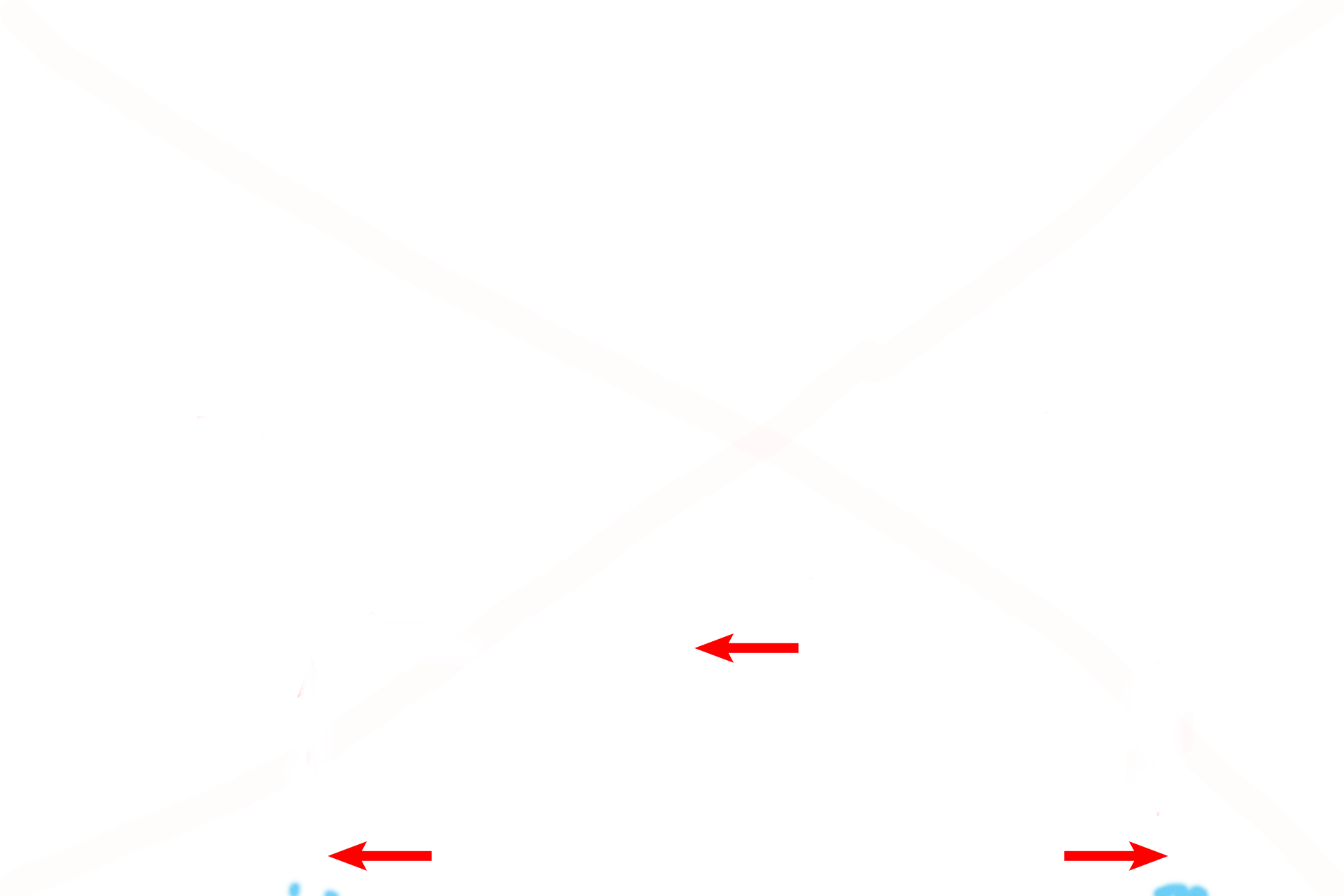 Trachea <p>Respiratory passages located outside the lung are referred to as extrapulmonary.  These frontal and mid-sagittal views of the head and neck illustrate the extrapulmonary components of the conducting portion of the respiratory system.  The inset shows the trachea dividing into two primary bronchi (in red), one supplying each lung.</p>

