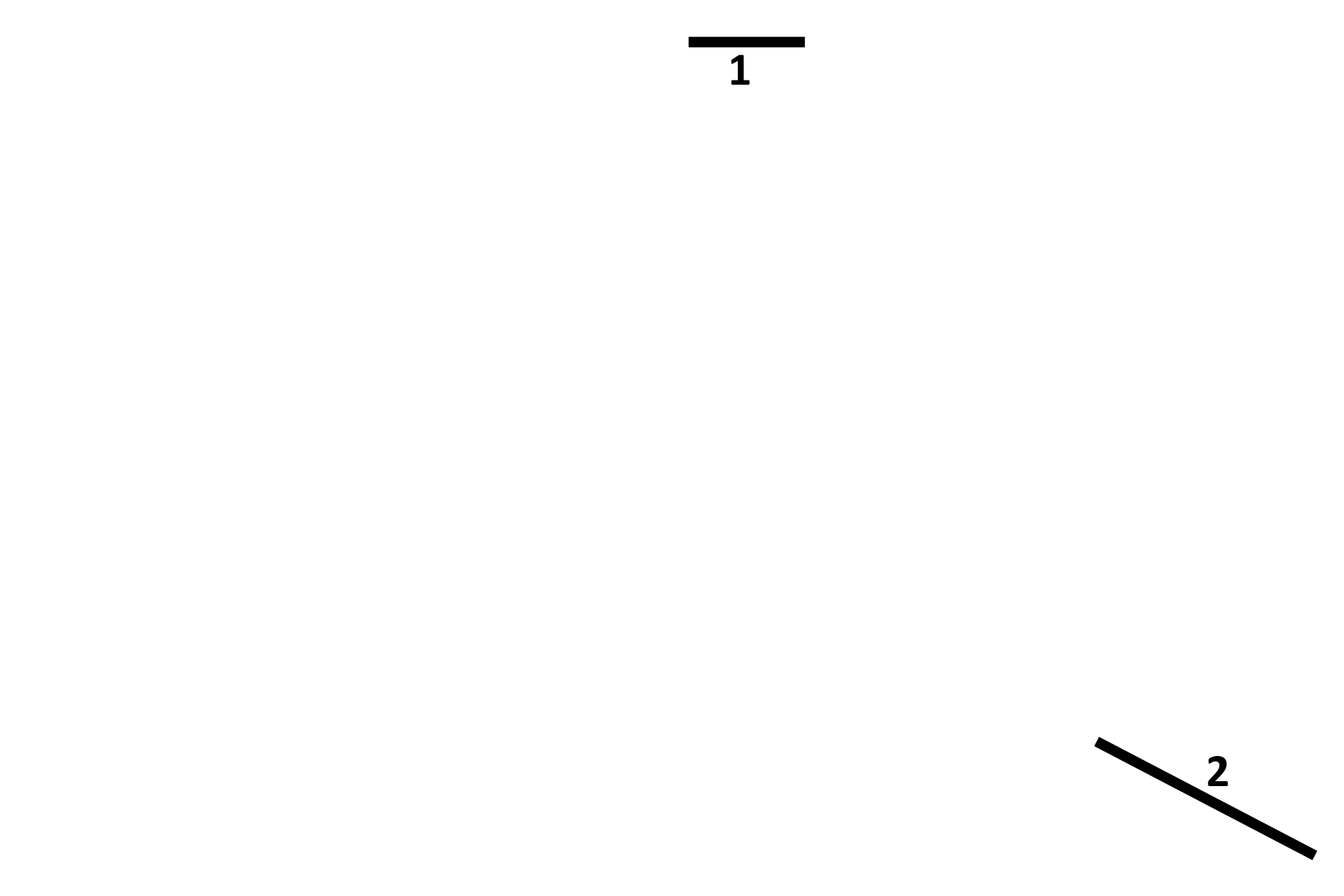 Circumferential  lamellae > <p>Inner (1) and outer (2) circumferential lamellae can be seen on either surface of the bone, indicating an increase in the diameter of the bone. This increased diameter provides additional support as an individual grows in mass. Circumferential lamellae are deposited by intramembranous bone formation by the endosteal and periosteal membranes.</p>
