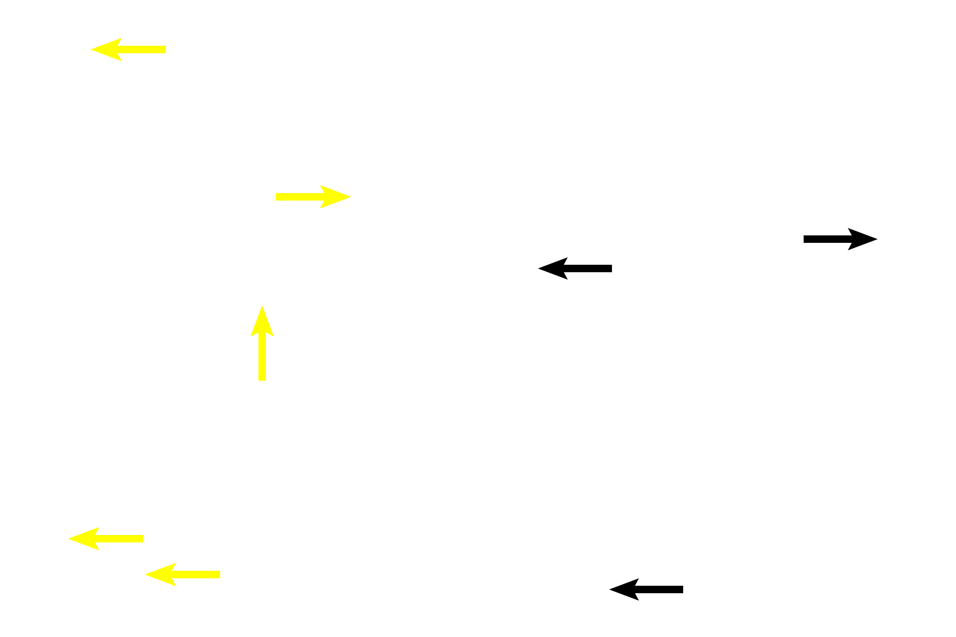Woven bone > <p>Immediately surrounding the calcified cartilage are small areas of woven bone, remnants of the zone of ossification. Because this bone is located in a space previously occupied by cartilage, this bone was formed by endochondral ossification. Both the calcified cartilage and the woven bone will be resorbed in time, to be replaced with lamellar bone.</p>
