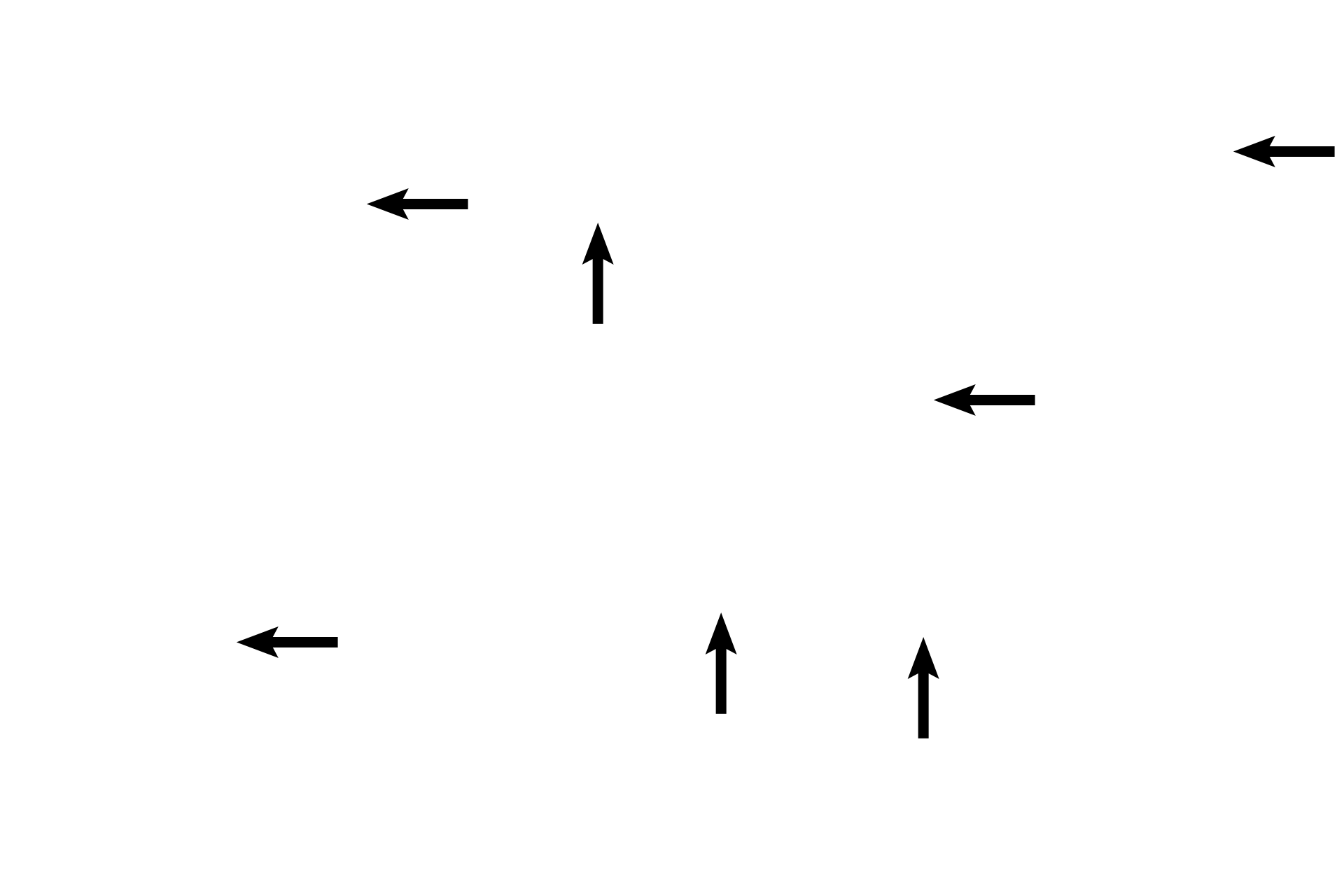 Cement lines > <p>Cement lines separate bone deposited at different time periods.</p>
