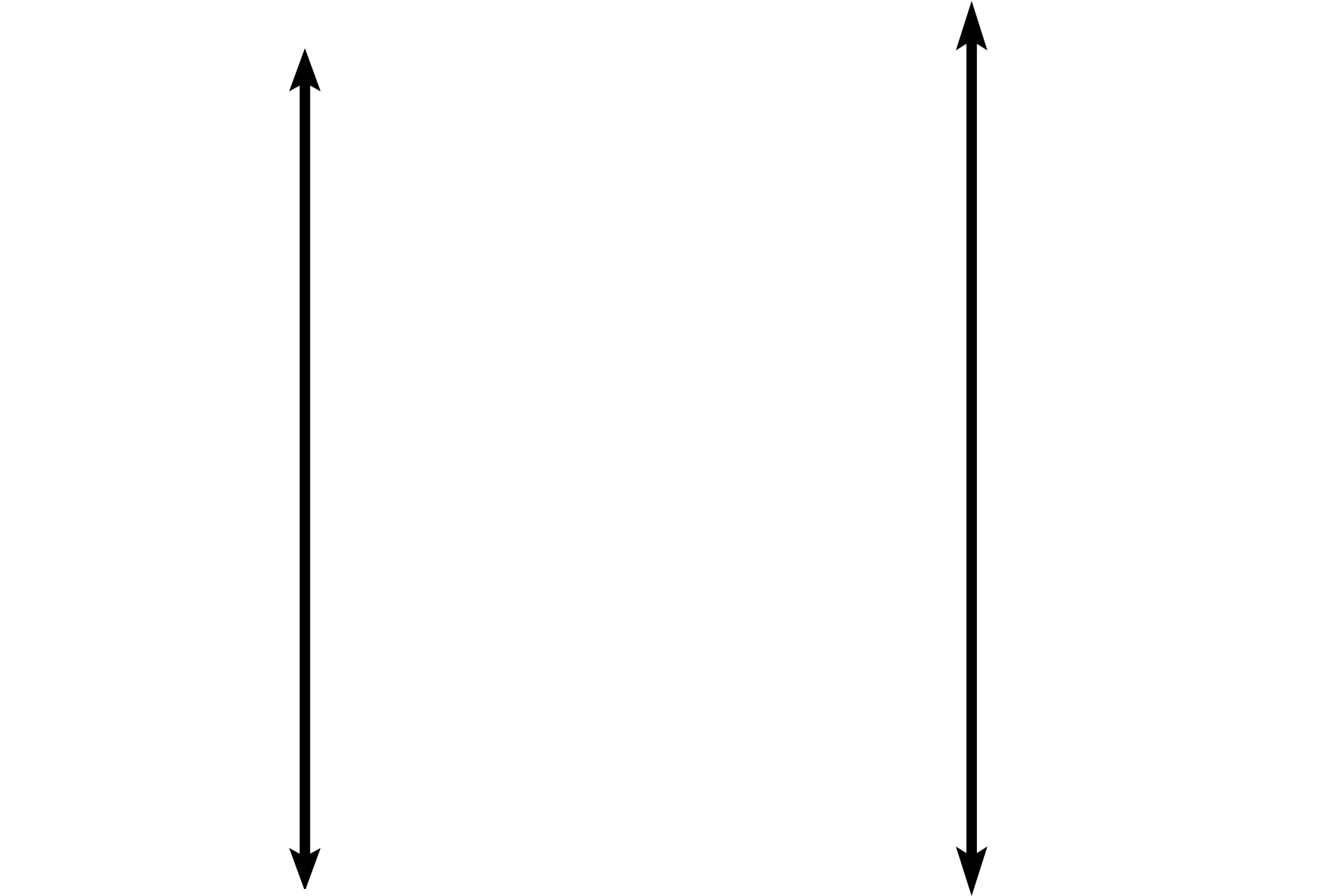 Bone > <p>This bone has all the characteristics of spongy bone: anastomosing spicules, endosteal lining, and numerous blood vessels. Additionally, the numerous rounded lacunae, containing osteocytes indicate that this is woven bone. Osteoclasts are also present, demonstrating that bone resorption is occurring simultaneously.</p>
