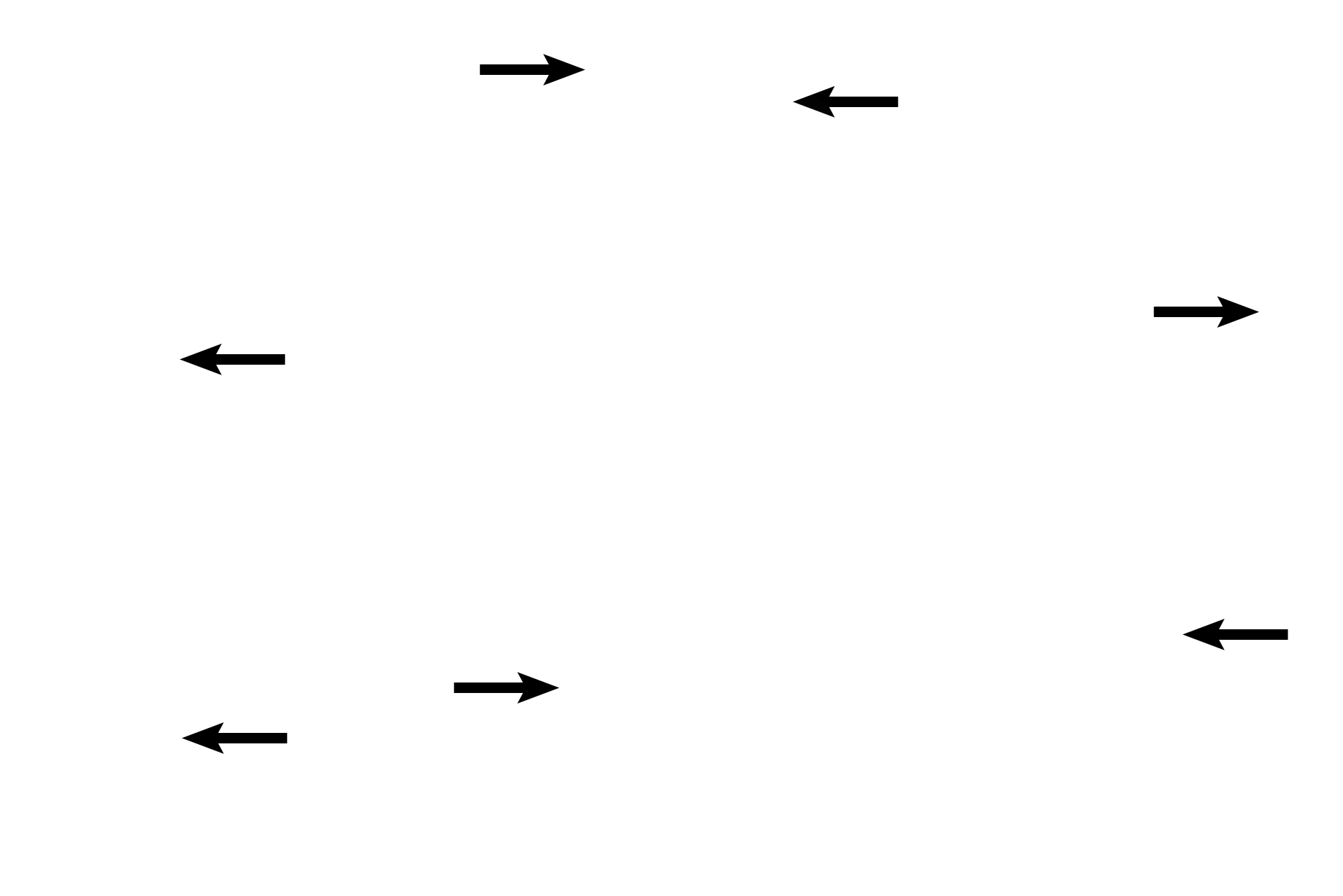 Blood vessels <p>This bone has all the characteristics of spongy bone: anastomosing spicules, endosteal lining, and numerous blood vessels. Additionally, the numerous rounded lacunae, containing osteocytes (black arrows) indicate that this is woven bone. Osteoclasts (yellow arrows) are also present, demonstrating that bone resorption is occurring simultaneously.</p>
