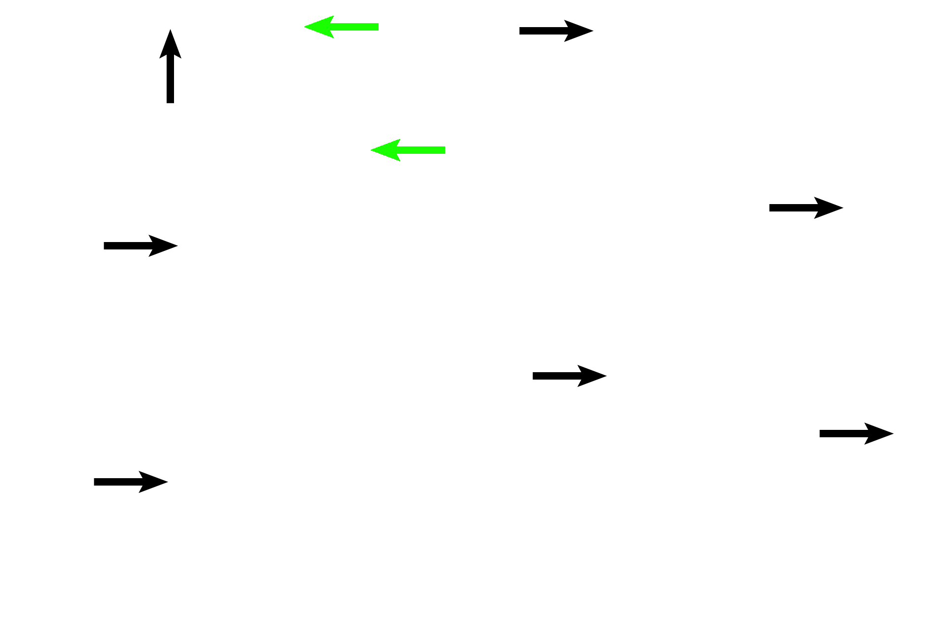 Endosteum <p>This bone has all the characteristics of spongy bone: anastomosing spicules, endosteal lining, and numerous blood vessels. Additionally, the numerous rounded lacunae, containing osteocytes (black arrows) indicate that this is woven bone. Osteoclasts (green arrows) are also present, demonstrating that bone resorption is occurring simultaneously.</p>

