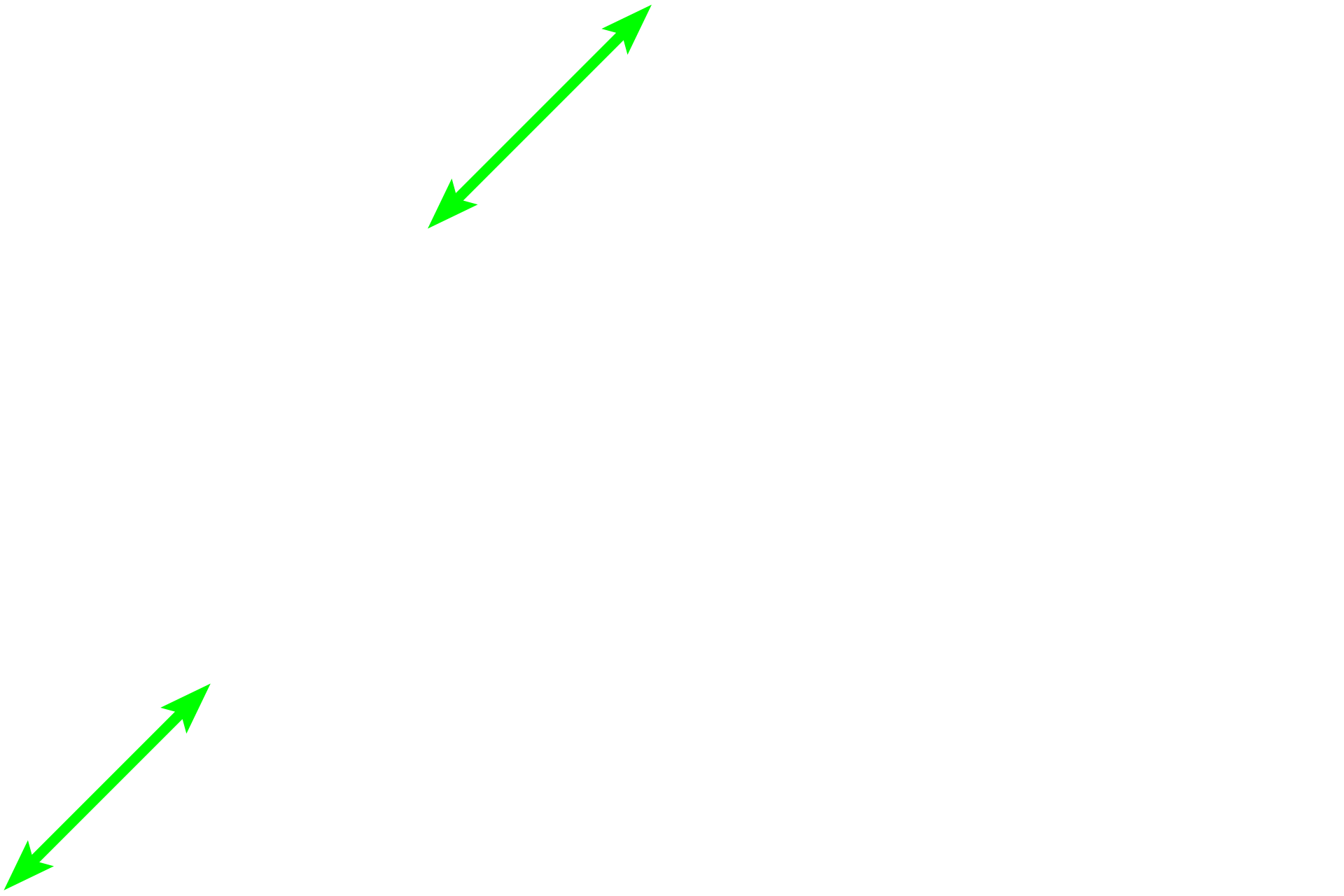  - Intestinal glands <p>An accumulation of plasma cells demonstrates two diagnostic features that help identify plasma cells. Heterochromatin frequently clumps around the periphery of the nucleus, forming a “clock face” appearance. Additionally, a pale-staining region in the cytoplasm adjacent to the nucleus indicates the position of the large Golgi apparatus. This region, referred to as a “negative Golgi” image, is surrounded by the more chromophilic, blue-staining, rough endoplasmic reticulum.</p>
