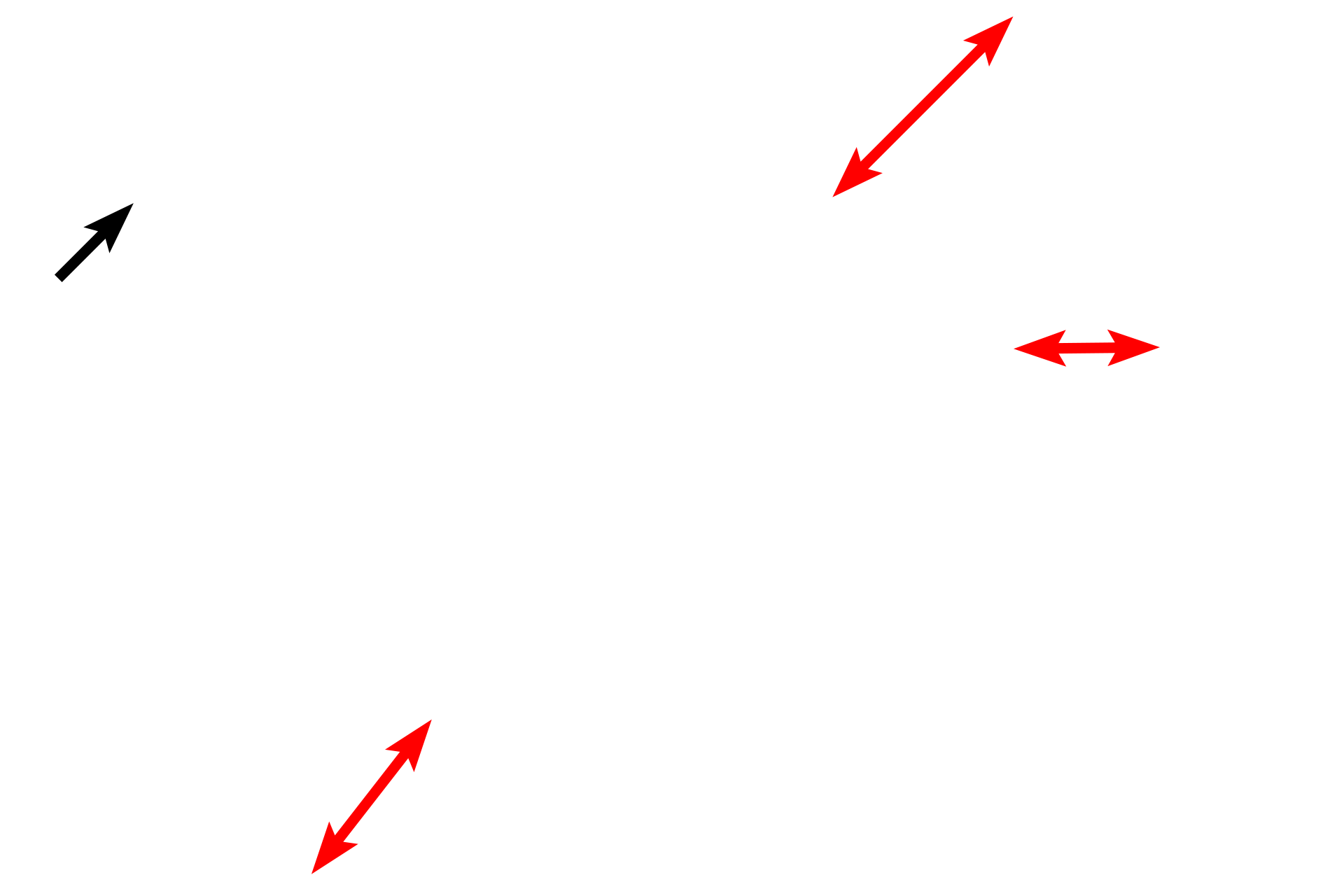 Rough endoplasmic reticulum <p>Plasma cells have distinctive features that are clearly seen in this electron micrograph: a prominent Golgi; well developed rough endoplasmic reticulum; and a nucleus with large clumps of heterochromatin at the margin of the nucleus (clock-face nucleus). Compare these features with the high magnification light microscopic inset. Plasma cells are derived from B lymphocytes and produce antibodies. 8,000x</p>
