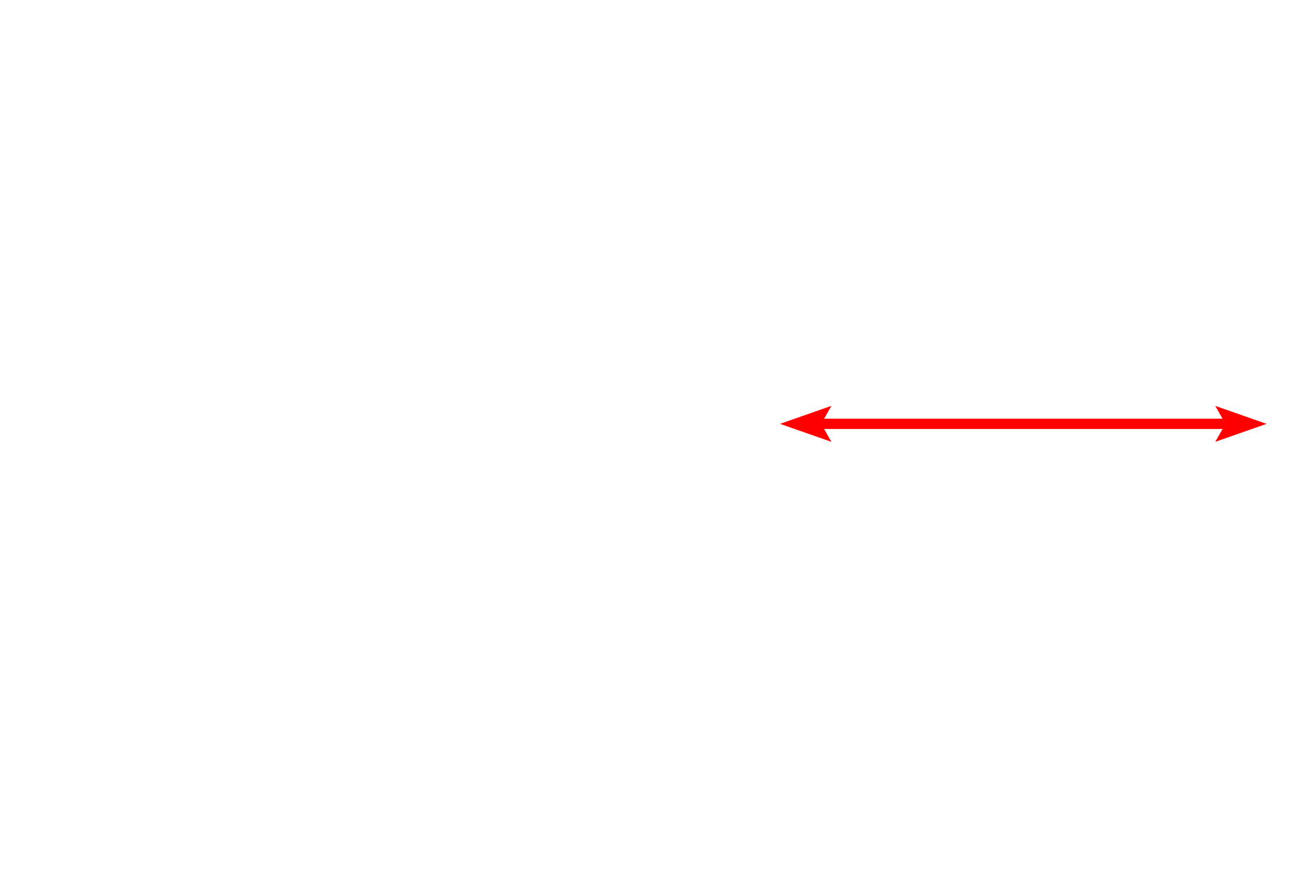 Lymphocyte <p>A lymphocyte has a distinct, heterochromatic, spherical nucleus and no cytoplasmic granules. This particular lymphocyte has a moderate amount of cytoplasm with organelles, and thus could either be a medium lymphocyte or a B lymphocyte which is beginning its transformation into a plasma cell.</p>
