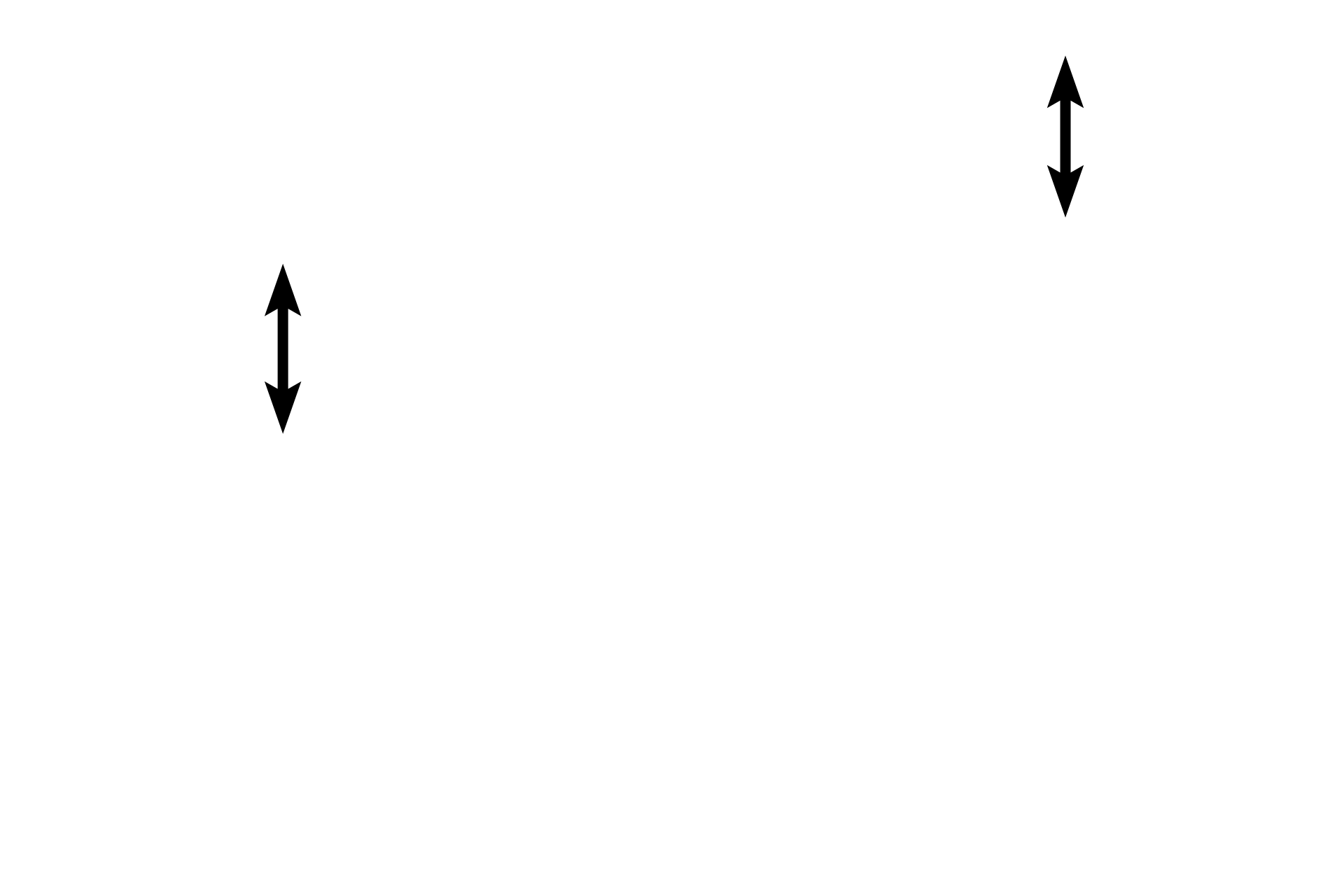 Capsule <p>Dense irregular connective tissue provides sturdy support, such as in capsules around organs. Extensions from the capsule, called trabeculae, project into the organ, providing additional structural support for the parenchyma as well as forming internal compartments and subdivisions. Active and inactive fibroblasts are present among the densely arranged collagen fibers. Spleen 200x</p>
