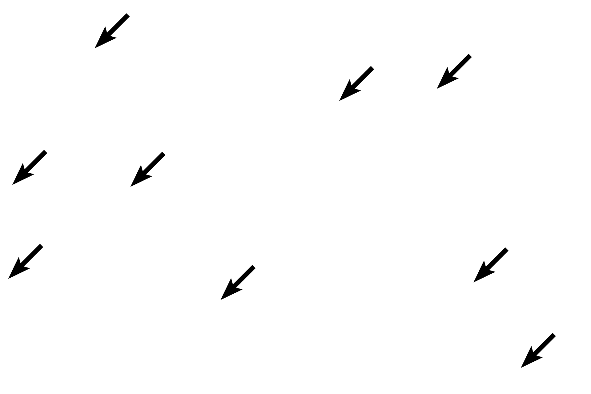 Collagen fibers <p>Dense regular connective tissue forms tendons (seen here) and ligaments.  These structures are composed of densely packed collagen bundles in parallel array.  Aligned between the bundles are flattened, heterochromatic nuclei of fibroblasts.  This construction ideally resists tension and maximally transmits force.  Tendons connect muscle with bone; ligaments connect bone with bone.  400x, 400x</p>

