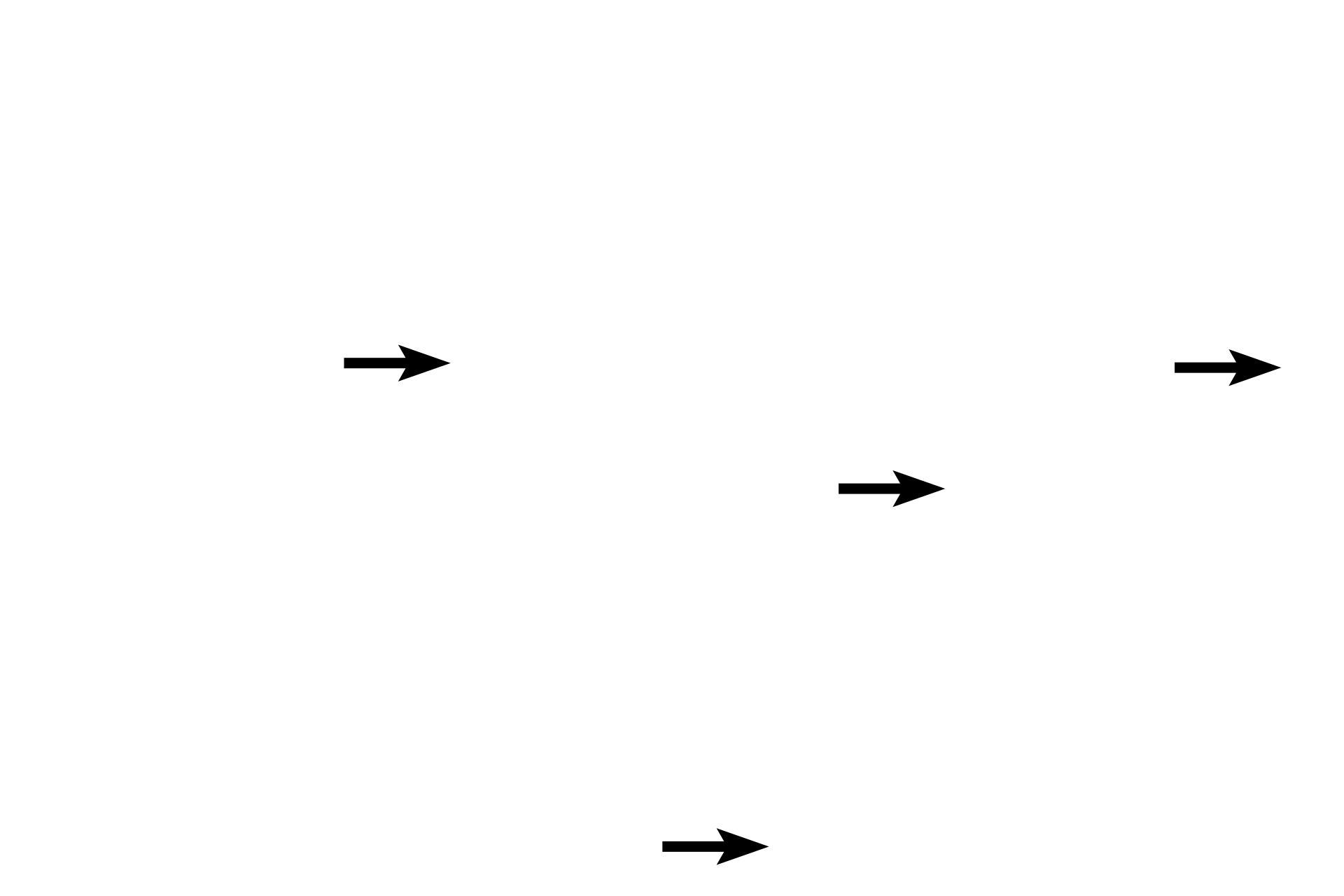 Collagen fibers <p>This loose connective tissue demonstrates its abundant, gelatinous ground substance in which are located numerous nuclei (mostly fibroblasts), capillaries, and the cobweb-like arrangement of collagen and elastic fibers.  100x</p>
