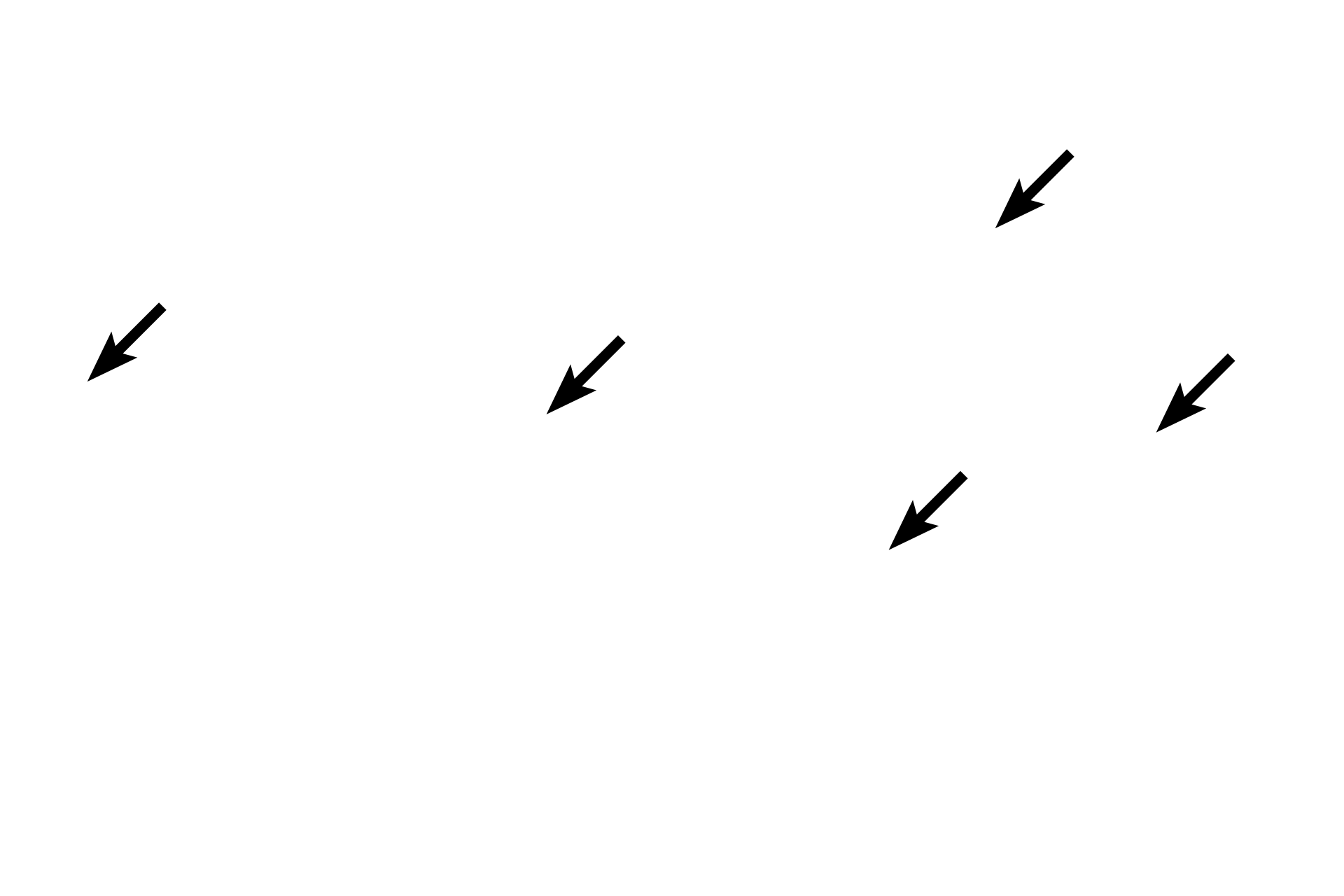 Elastic fibers <p>This loose connective tissue demonstrates its abundant, gelatinous ground substance in which are located numerous nuclei (mostly fibroblasts), capillaries, and the cobweb-like arrangement of collagen and elastic fibers.  100x</p>
