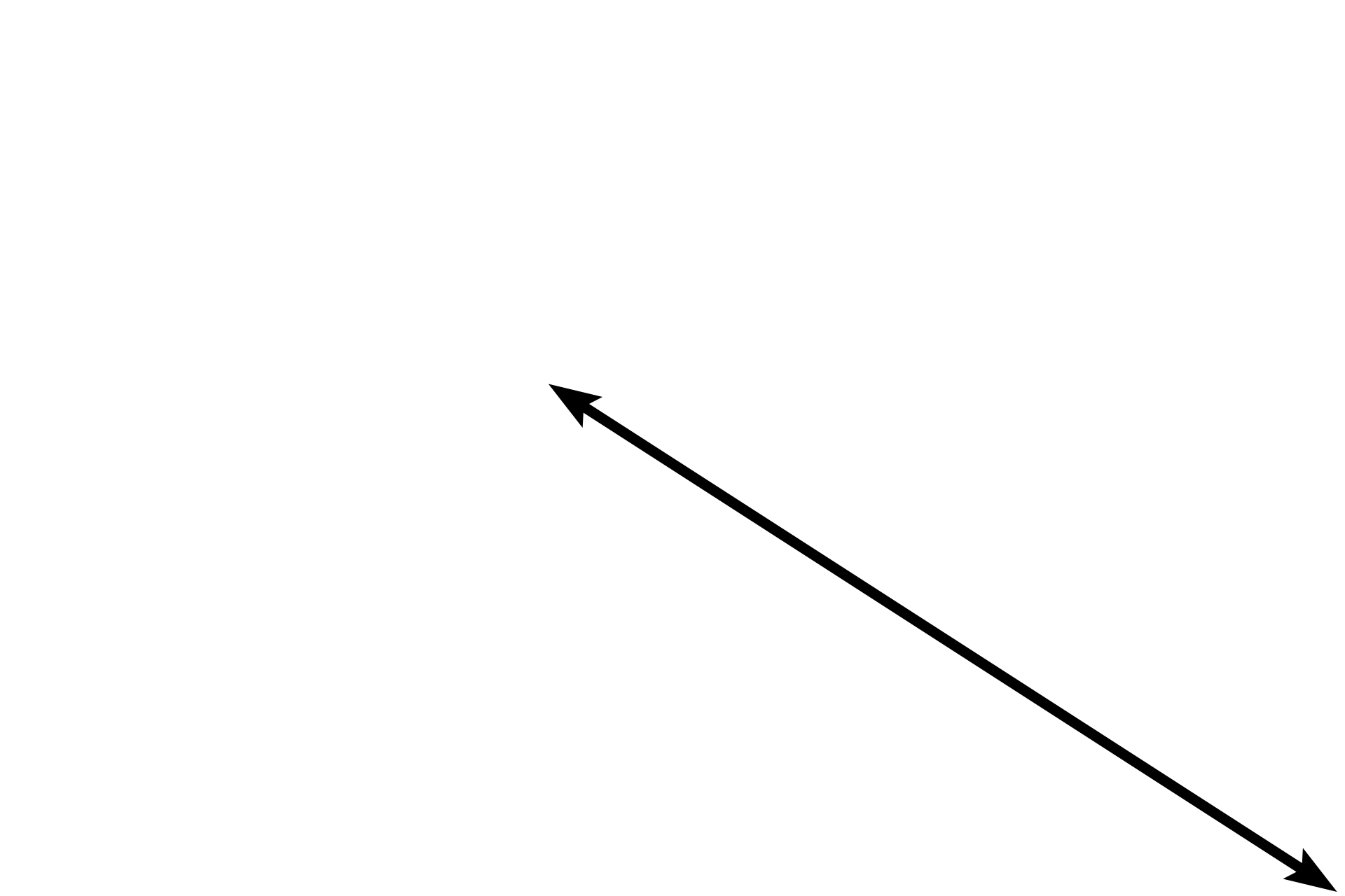 Loose connective tissue <p>In loose connective tissue, the collagen fibers are thin, delicate and have no organized arrangement, thus giving this tissue the classification “loose.”  In addition, loose connective tissue is highly cellular and the population of cells is diverse.  This image also shows an adjacent region of dense irregular connective tissue for comparison.  400x</p>
