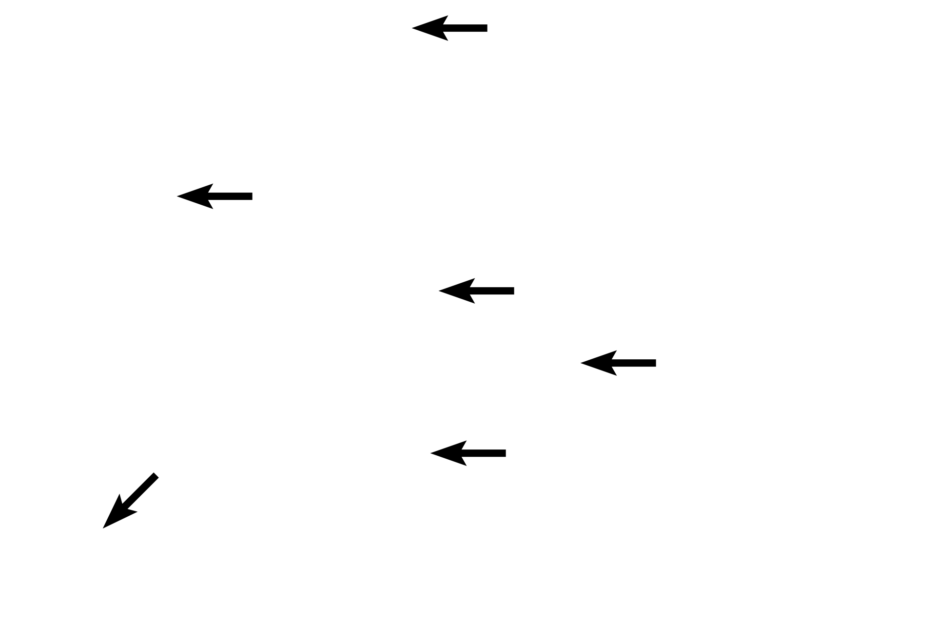 Collagen fibers <p>In loose connective tissue, the collagen fibers are thin, delicate and have no organized arrangement, thus giving this tissue the classification “loose.”  In addition, loose connective tissue is highly cellular and the population of cells is diverse.  This image also shows an adjacent region of dense irregular connective tissue for comparison.  400x</p>
