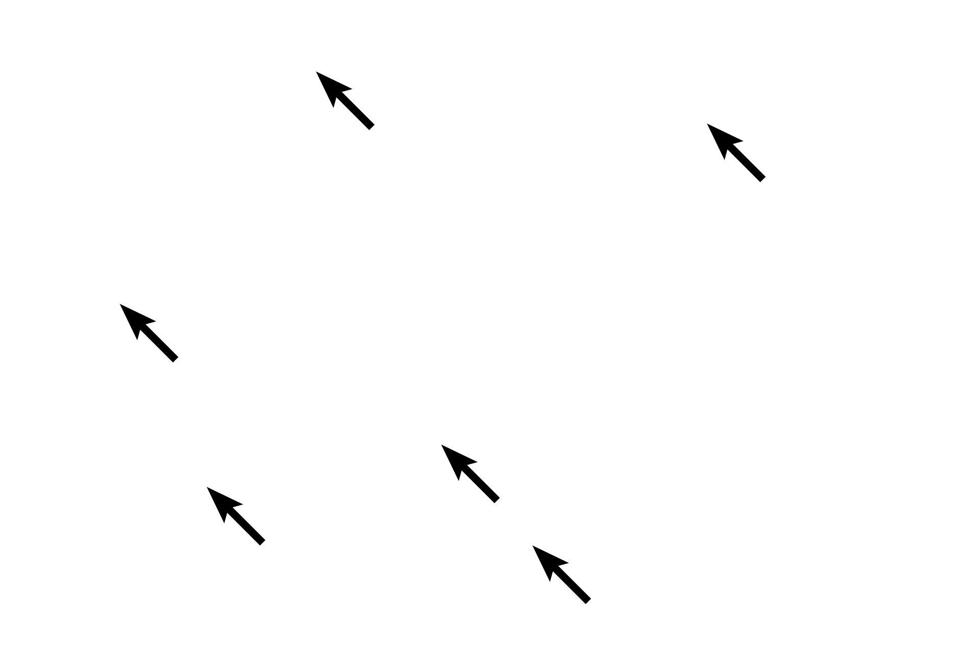 Fibroblasts  <p>In loose connective tissue, the collagen fibers are thin, delicate and have no organized arrangement, thus giving this tissue the classification “loose.”  In addition, loose connective tissue is highly cellular and the population of cells is diverse.  This image also shows an adjacent region of dense irregular connective tissue for comparison.  400x</p>
