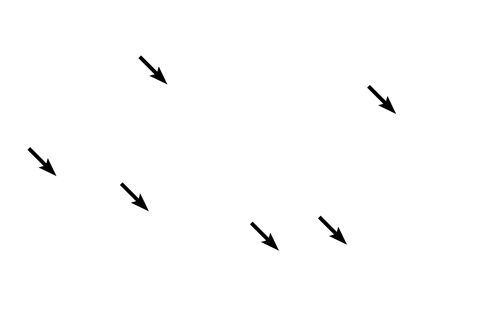 Ground substance <p>In loose connective tissue, the collagen fibers are thin, delicate and have no organized arrangement, thus giving this tissue the classification “loose.”  In addition, loose connective tissue is highly cellular and the population of cells is diverse.  This image also shows an adjacent region of dense irregular connective tissue for comparison.  400x</p>

