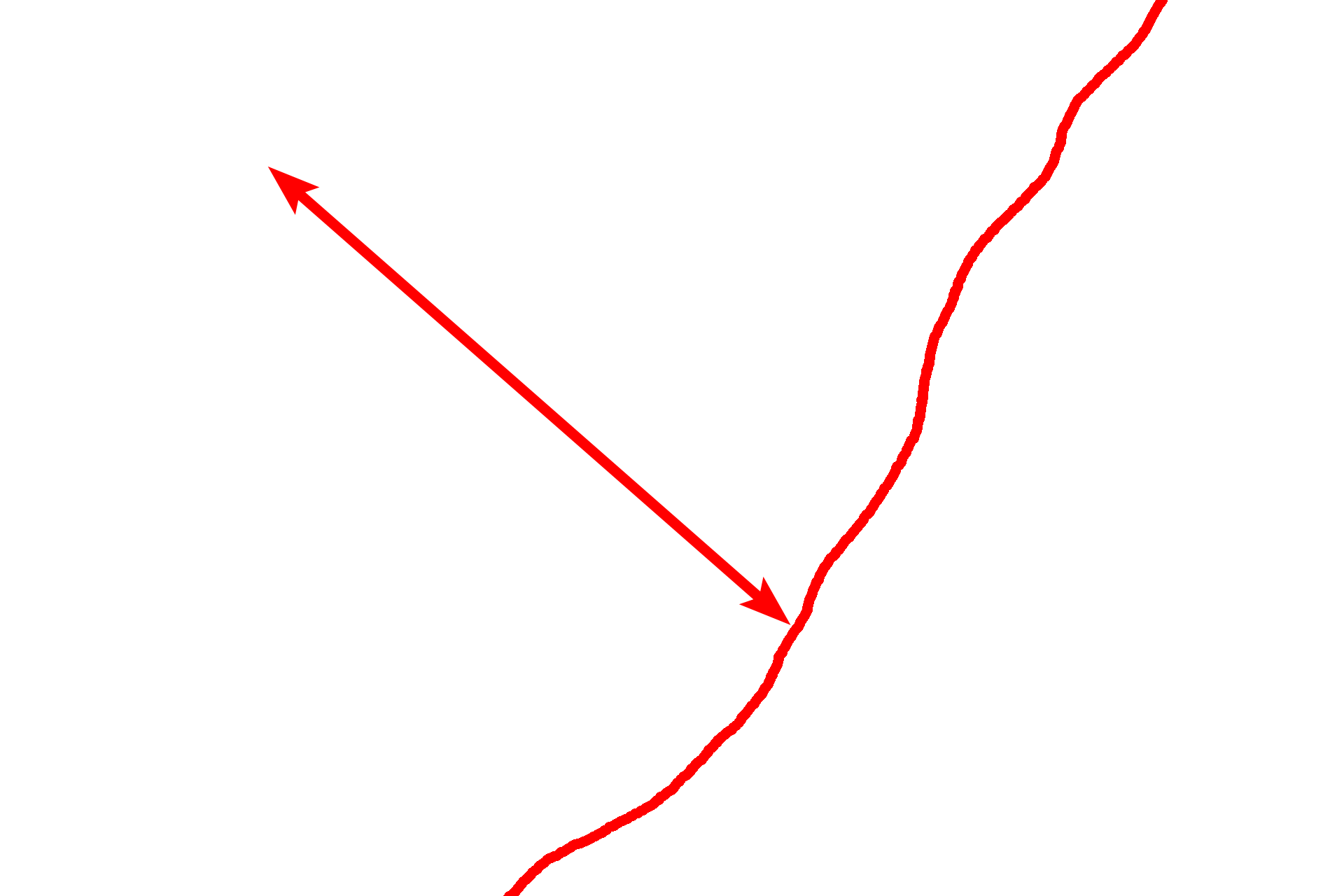Loose connective tissue <p>The dermis of the skin is composed of loose connective tissue interfacing with an underlying dense irregular connective tissue.  The loose connective tissue is more cellular, with smaller caliber collagen and elastic fibers than the coarser, dense irregular connective tissue.  This toluidine blue-stained section shows the elastic fibers to advantage.  1000x</p>
