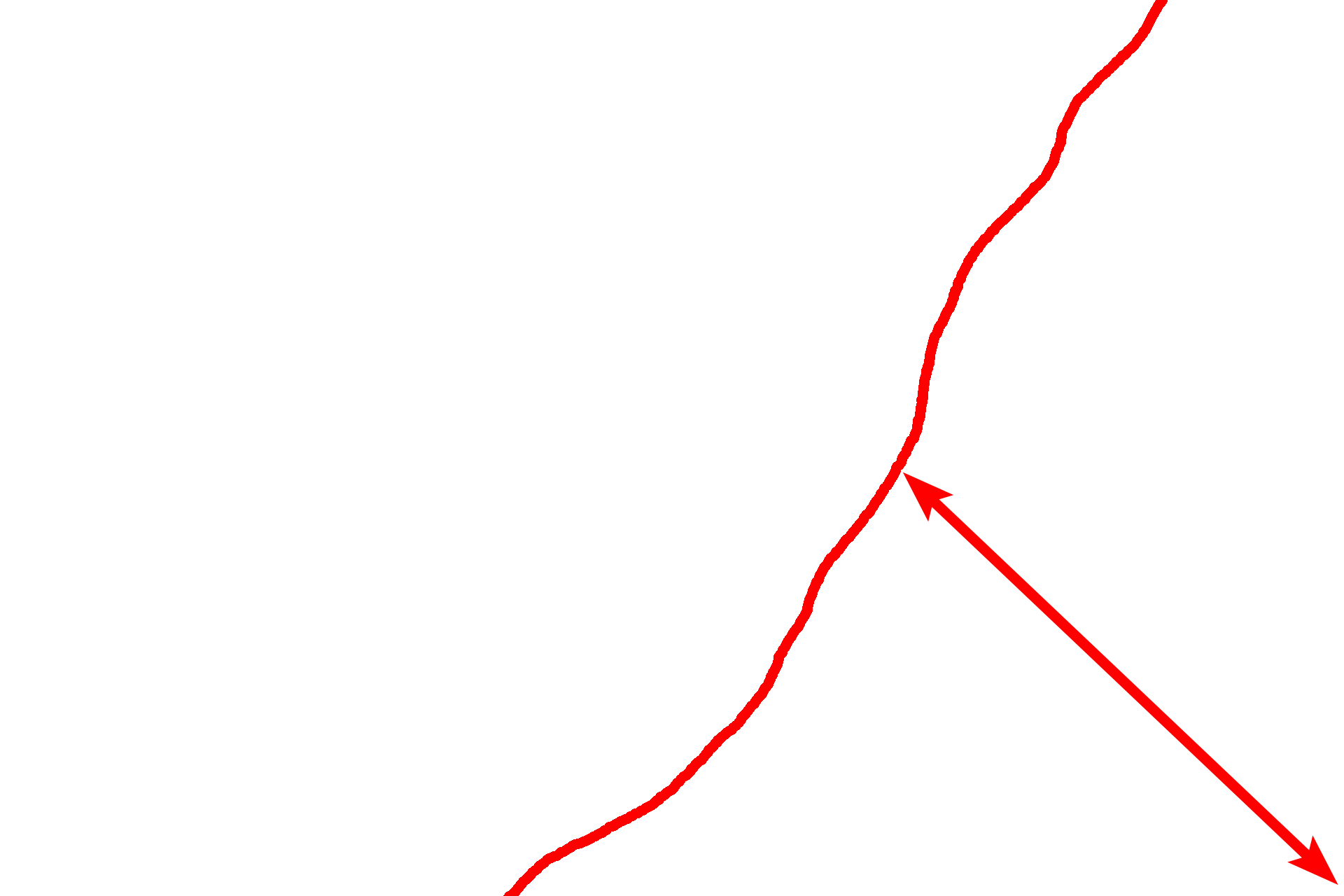 Dense irregular connective tissue <p>The dermis of the skin is composed of loose connective tissue interfacing with an underlying dense irregular connective tissue.  The loose connective tissue is more cellular, with smaller caliber collagen and elastic fibers than the coarser, dense irregular connective tissue.  This toluidine blue-stained section shows the elastic fibers to advantage.  1000x</p>
