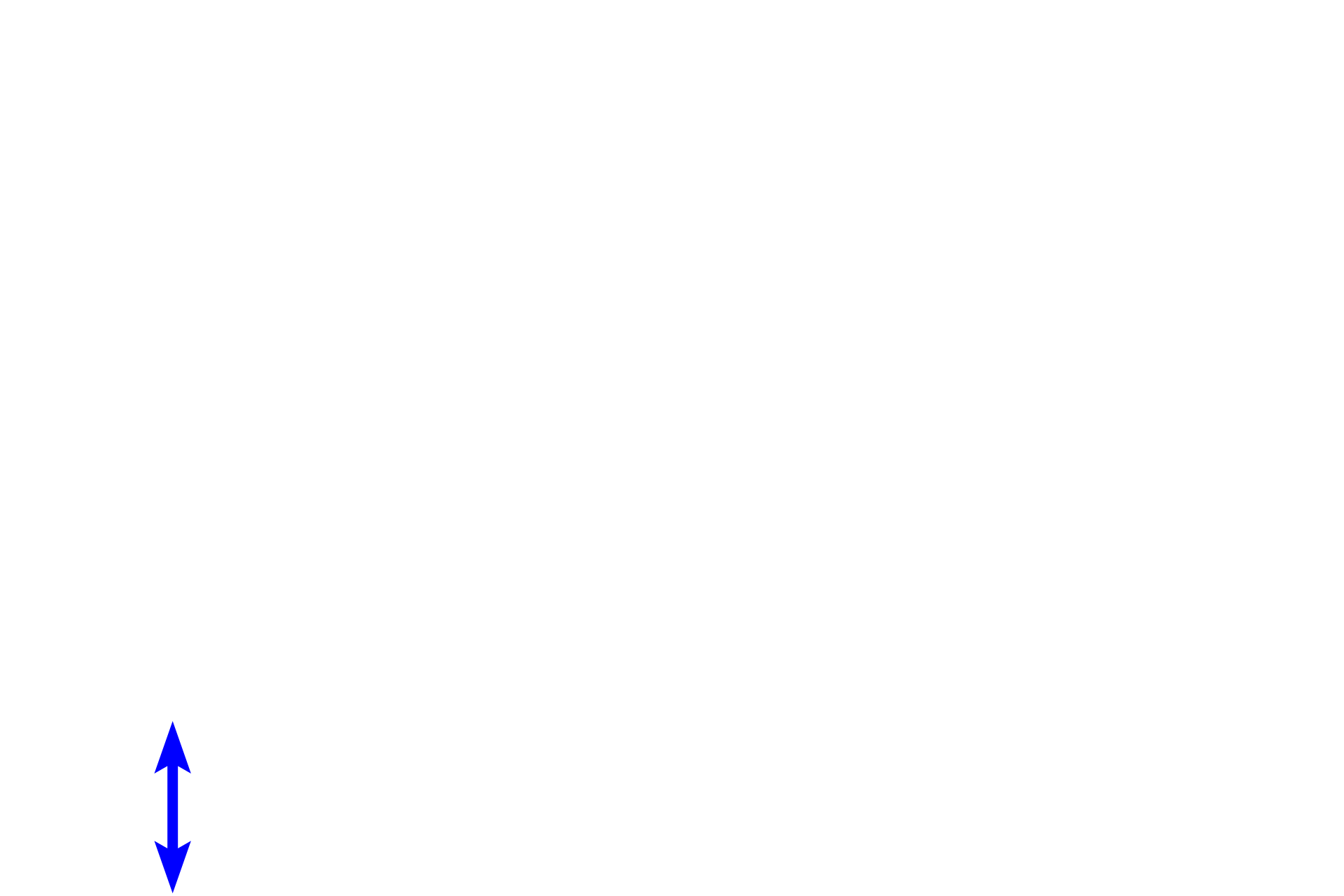 Dense irregular connective tissue <p>In the small intestine, a loose connective tissue lies beneath the epithelium and surrounds many glands associated with the epithelium. In this position, loose connective tissue allows for cell migration and diffusion and provides cushioning and support for the epithelium and glands. Loose connective tissue also contains phagocytic and immunoresponsive cells. 100x, 400x</p>
