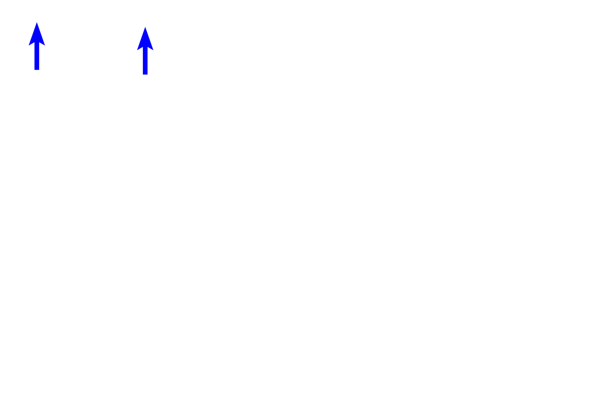 Epithelium <p>In the small intestine, a loose connective tissue lies beneath the epithelium and surrounds many glands associated with the epithelium. In this position, loose connective tissue allows for cell migration and diffusion and provides cushioning and support for the epithelium and glands. Loose connective tissue also contains phagocytic and immunoresponsive cells. 100x, 400x</p>
