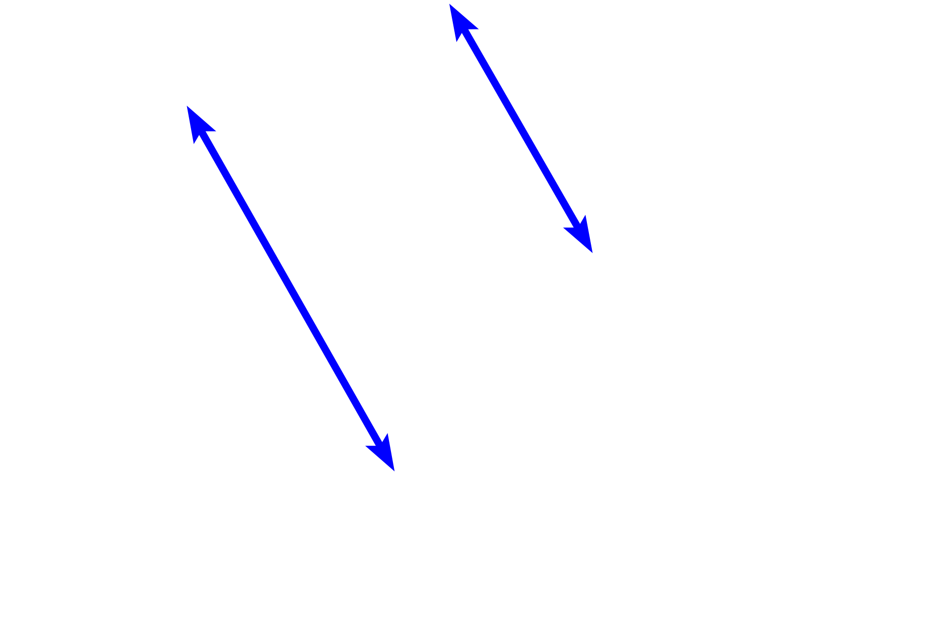 Loose connective tissue > <p>Loose connective tissue is characterized by numerous connective tissue cells, abundant ground substance and delicate collagen, reticular and elastic fibers. Loose connective tissue is more highly vascularized than dense and because of its porosity, allows for diffusion and cell migration, particularly for immune surveillance. Loose connective tissue also provides delicate padding between tissues and around organs.</p>
