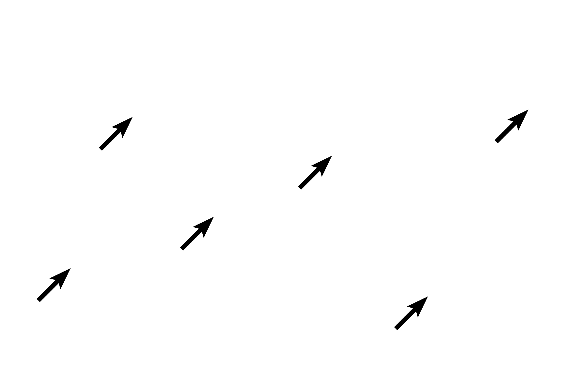 Ground substance <p>Connective tissue consists of cells and an extracellular matrix composed of fibers (collagen, reticular and elastic), ground substance and tissue fluid. Ground substance, primarily proteoglycans, is present as a gel in connective tissue proper, where it surrounds cells and fibers, and serves as padding between other tissues and organs of the body. 400x, 400x</p>
