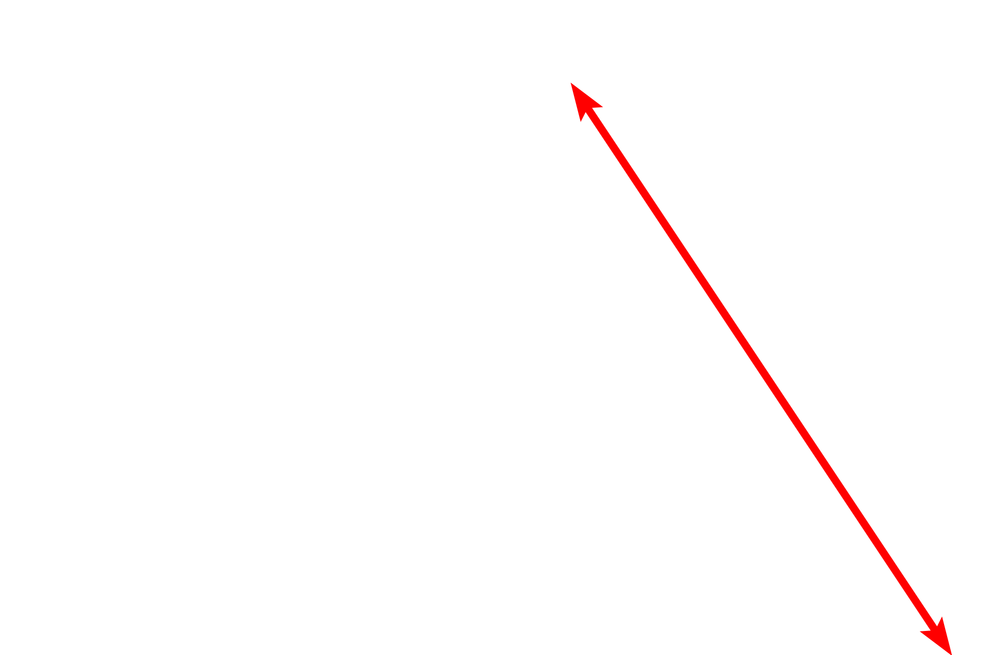 Loose connective tissue <p>This electron micrograph shows the loose connective tissue that lies beneath all epithelia. Individual collagen fibrils are visible in both longitudinal and cross section. Note the regular banding in the longitudinally oriented fibrils. In other areas, these fibrils can aggregate to form larger fibers and bundles. 25,000x</p>

