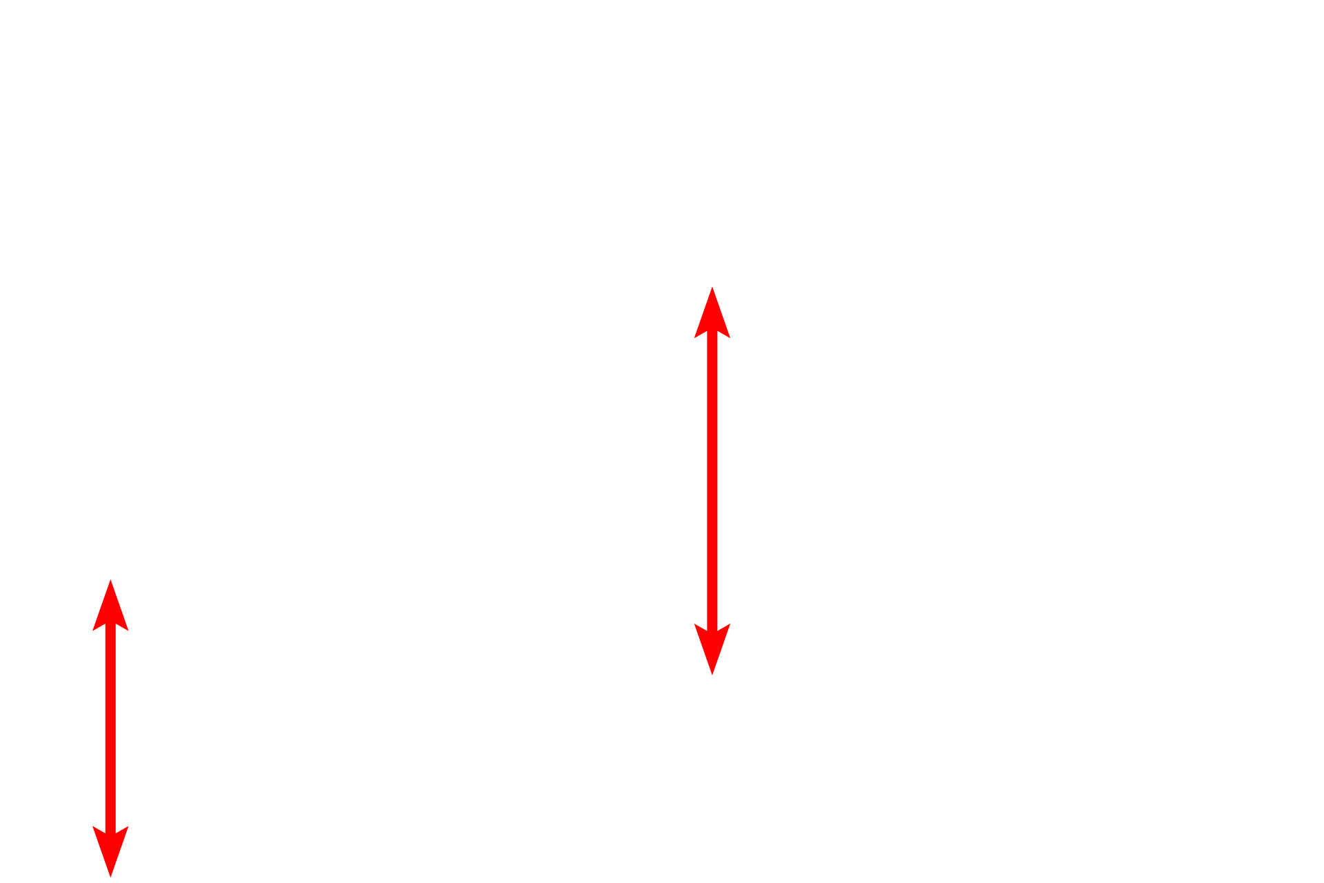 Collagen fibers <p>Fibroblasts secrete tropocollagen molecules that assemble into collagen fibrils, displaying a repeating 64 nm banding pattern.  There are numerous types of collagen, the most prevalent being Types I, II, III and IV.  Types I, II and III form fibrils; Type IV, a major component of the basal lamina, does not. Type I fibrils further assemble into larger fibers and bundles, which can range from 1 to 20 microns in diameter.  A small peripheral nerve is seen surrounded by a large fiber.  14,000x </p>
