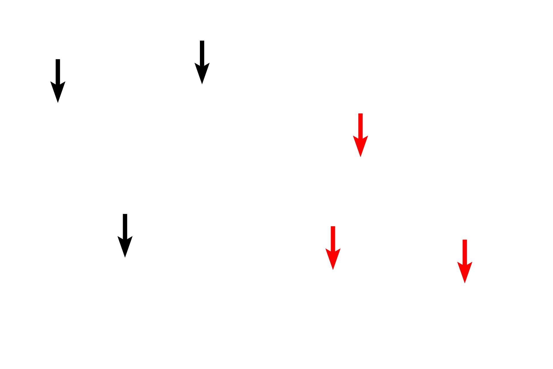 Ground substance <p>Elastic fibers are thin, branched and eosinophilic. They are present in most connective tissues, however, they are usually difficult to differentiate with H & E staining (left panel). The right panel shows similar tissue stained for elastin, a major protein component of elastic fibers that provides fiber elasticity. Elastic fibers are produced by fibroblasts in connective tissues and smooth muscle cells in blood vessels. Ground substance and tissue fluid fills the spaces between fibers and cells. Mesentery 1000x</p>
