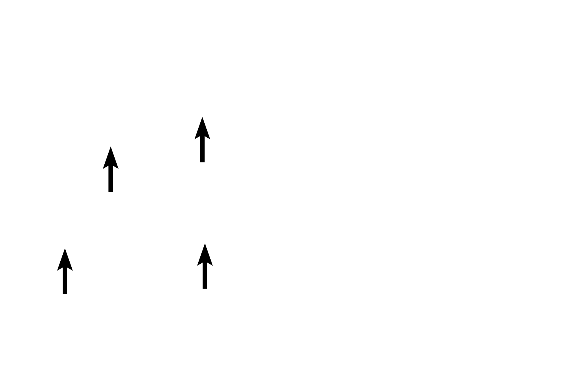 Capillaries <p>Elastic fibers are thin, branched and eosinophilic. They are present in most connective tissues, however, they are usually difficult to differentiate with H & E staining (left panel). The right panel shows similar tissue stained for elastin, a major protein component of elastic fibers that provides fiber elasticity. Elastic fibers are produced by fibroblasts in connective tissues and smooth muscle cells in blood vessels. Ground substance and tissue fluid fills the spaces between fibers and cells. Mesentery 1000x</p>

