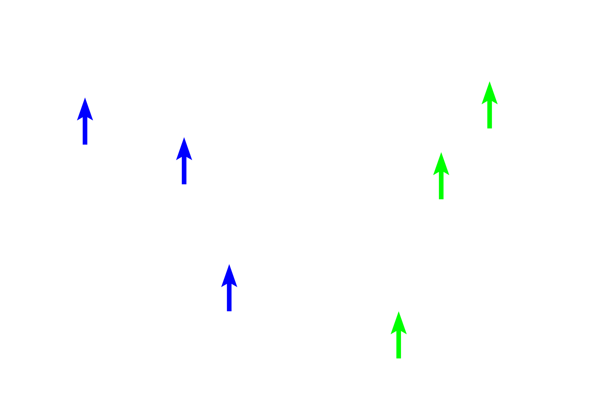 Collagen fibers <p>These images of dense irregular connective tissue in the skin compare the appearance of elastic fibers stained with hematoxylin and eosin with that using a special elastin stain. Elastic fibers are eosinophilic and in some sections, as shown here, can be distinguished from collagen fibers with eosin alone. In most cases however, a special elastin stain, the Verhoeff method, is required and is shown in the right panel.  The Verhoeff method stains elastic fibers black and collagen fibers red.  400x, 400x</p>
