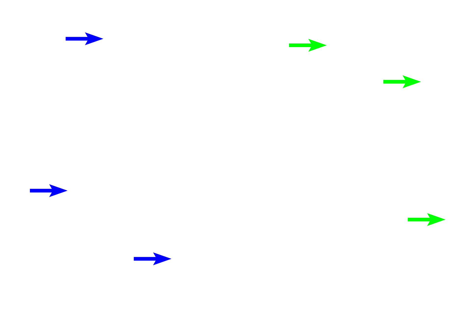 Ground substance <p>These images of dense irregular connective tissue in the skin compare the appearance of elastic fibers stained with hematoxylin and eosin with that using a special elastin stain. Elastic fibers are eosinophilic and in some sections, as shown here, can be distinguished from collagen fibers with eosin alone. In most cases however, a special elastin stain, the Verhoeff method, is required and is shown in the right panel.  The Verhoeff method stains elastic fibers black and collagen fibers red.  400x, 400x</p>
