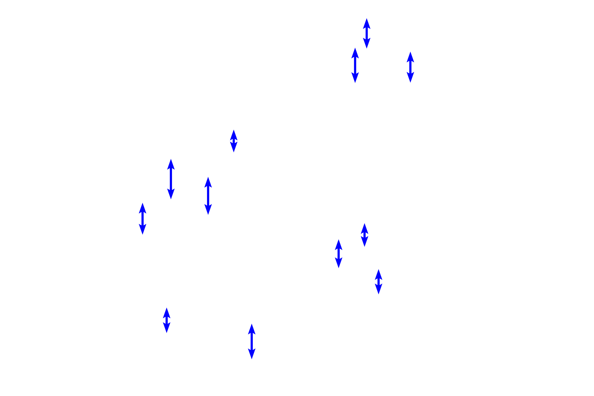 Adipocytes <p>White adipose connective tissue is composed of lobules of adipocytes separated by prominent connective tissue septa containing blood and lymphatic vessels. Individual adipocytes contain a single, large lipid droplet (lost during tissue processing), a crescent-shaped nucleus and cytoplasm that is flattened to the periphery of the droplet. Hypodermis 100x</p>
