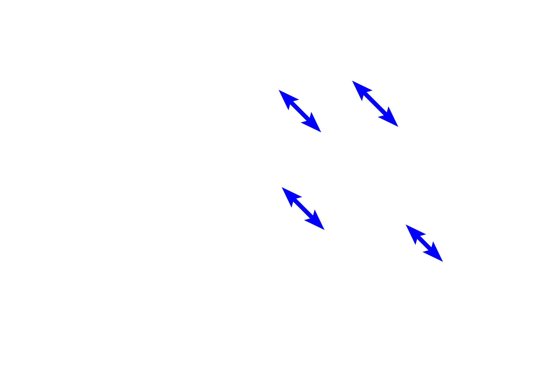 Adipocytes <p>This adipose connective tissue is white adipose tissue, made up of adipocytes with a single lipid droplet (unilocular adipocytes). White adipose tissue predominates in the adult and functions to store lipid. A second type of adipose tissue, brown adipose tissue, contains cells with multiple lipid droplets (multilocular adipocytes) and is found in infants and hibernating animals. Hypodermis 400x</p>
