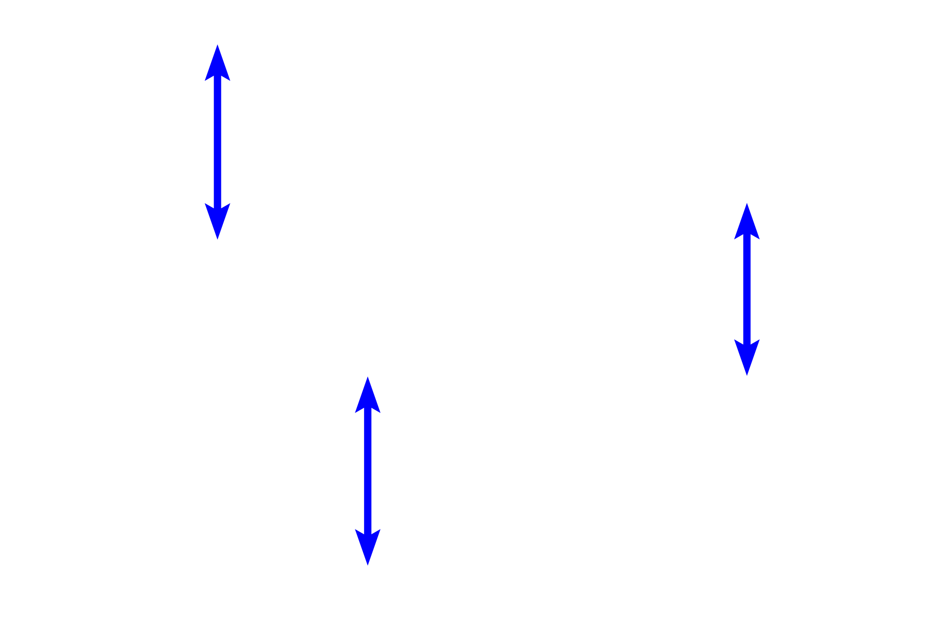 Adipocytes <p>A collection of adipocytes in subcutaneous tissue beneath the skin demonstrates the empty-appearing cells resulting from the loss of lipid during tissue processing. In addition to lipid storage, white adipose connective tissue in this location also serves a thermal insulating function. Hypodermis 1000x</p>

