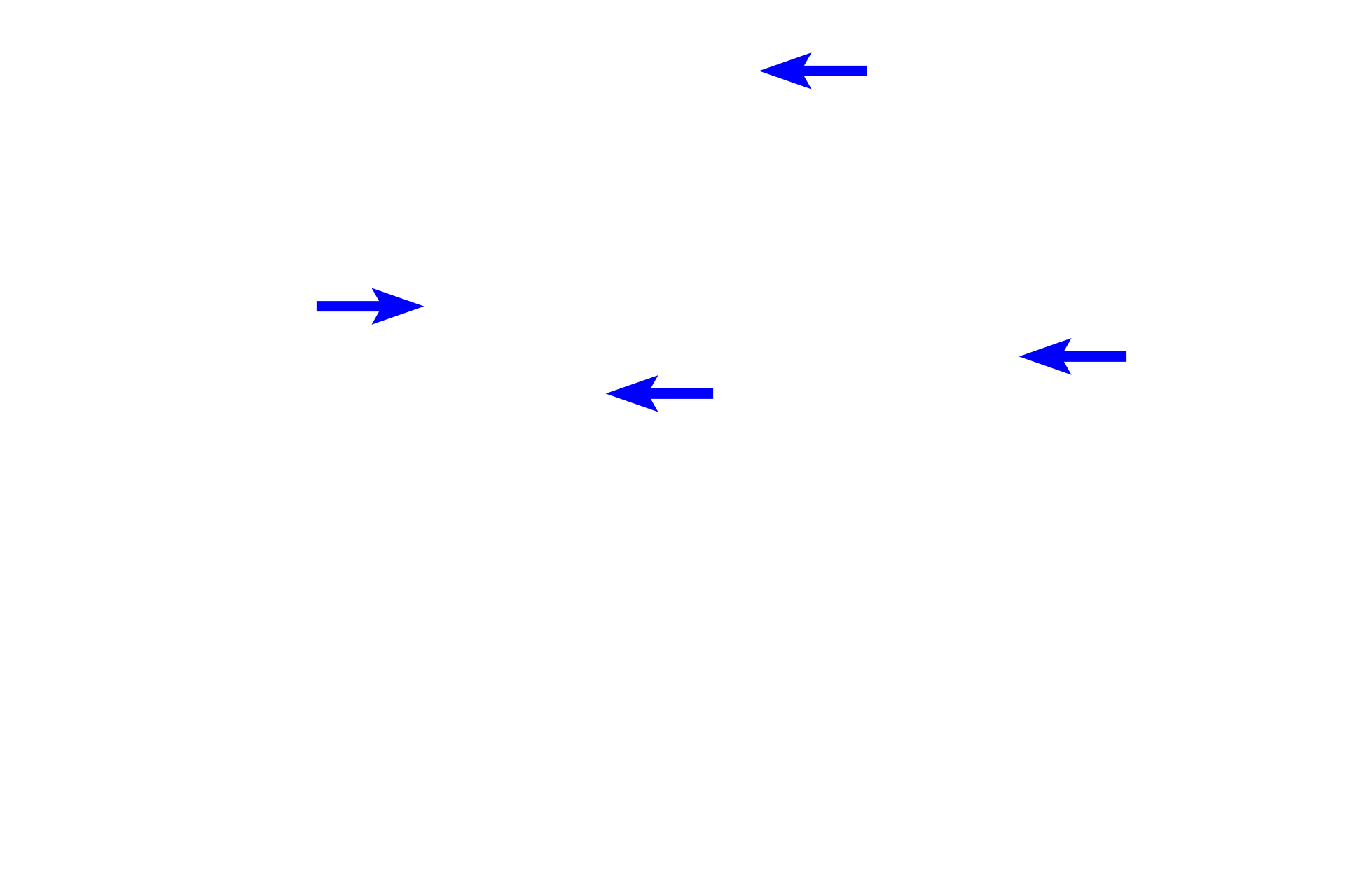 Cytoplasm <p>A collection of adipocytes in subcutaneous tissue beneath the skin demonstrates the empty-appearing cells resulting from the loss of lipid during tissue processing. In addition to lipid storage, white adipose connective tissue in this location also serves a thermal insulating function. Hypodermis 1000x</p>
