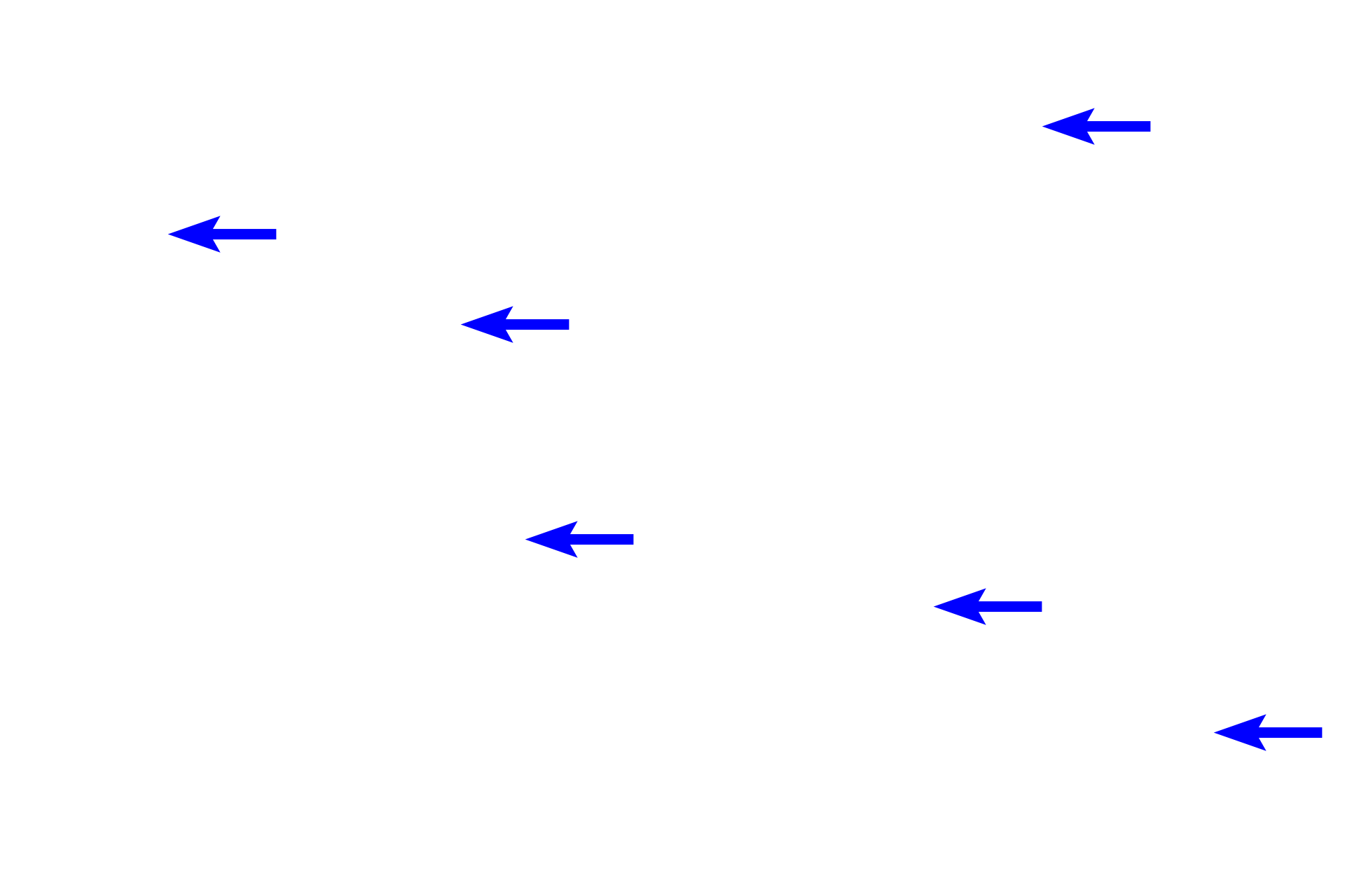 Fibroblasts <p>Mucous connective tissue is a primitive (embryonic) connective tissue that persists in the umbilical cord.  Mucous connective tissue is composed of fibroblast-like cells, which can be spindle or stellate shaped.  They produce the surrounding, abundant, gelatinous ground substance (Wharton’s jelly) and delicate collagen and reticular fibers.  Umbilical cord  1000x </p>
