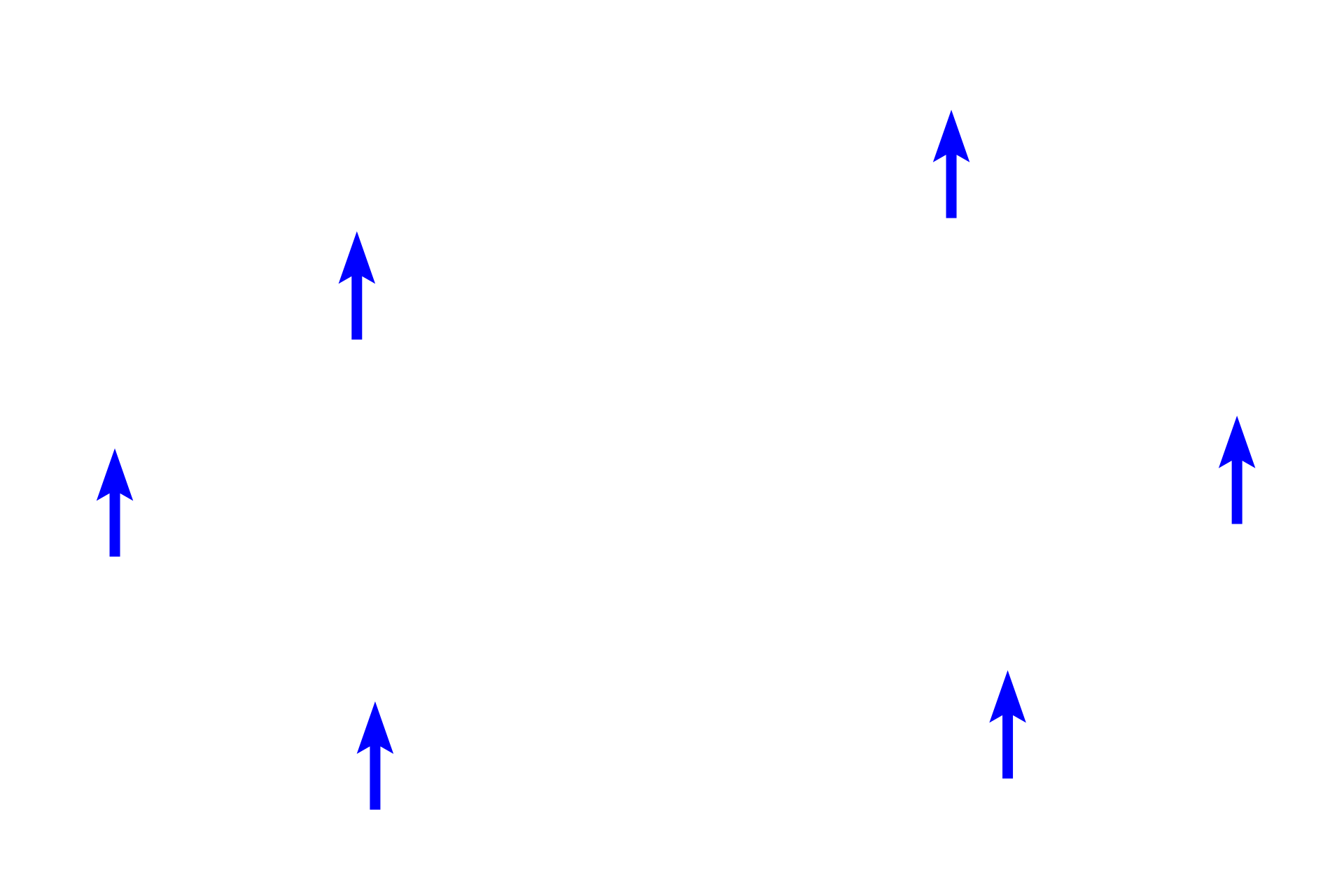Ground substance <p>Mucous connective tissue is a primitive (embryonic) connective tissue that persists in the umbilical cord.  Mucous connective tissue is composed of fibroblast-like cells, which can be spindle or stellate shaped.  They produce the surrounding, abundant, gelatinous ground substance (Wharton’s jelly) and delicate collagen and reticular fibers.  Umbilical cord  1000x </p>
