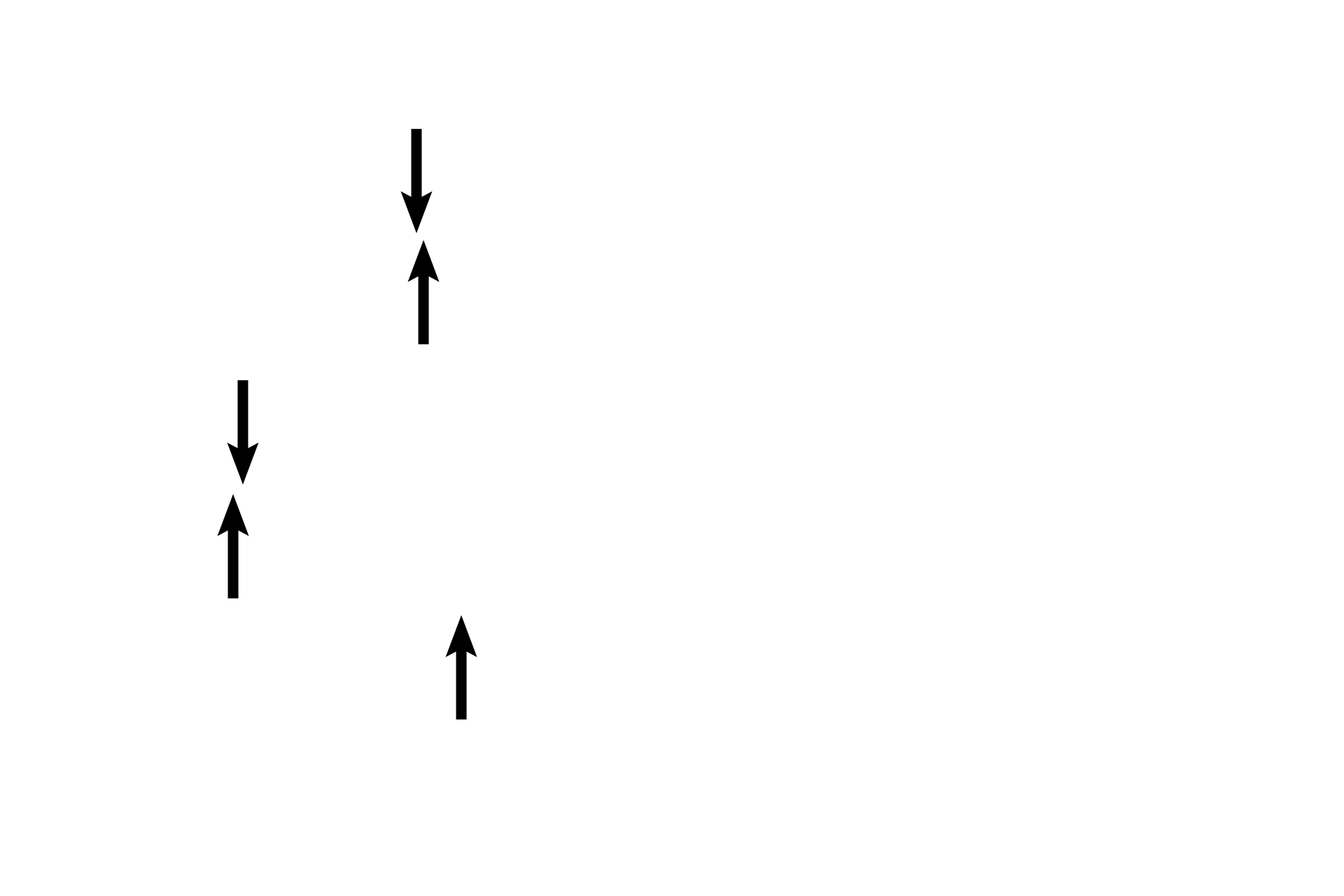 Osseous spiral lamina <p>The modiolus, the bony, central framework of the cochlea, resembles the core of a screw. The threads of the screw spiraling around the core are formed by the osseous spiral lamina, a thin, bony process supporting the floor of the cochlear duct. The osseous spiral lamina is wider at the base of the cochlea and narrower at its apex.</p>
