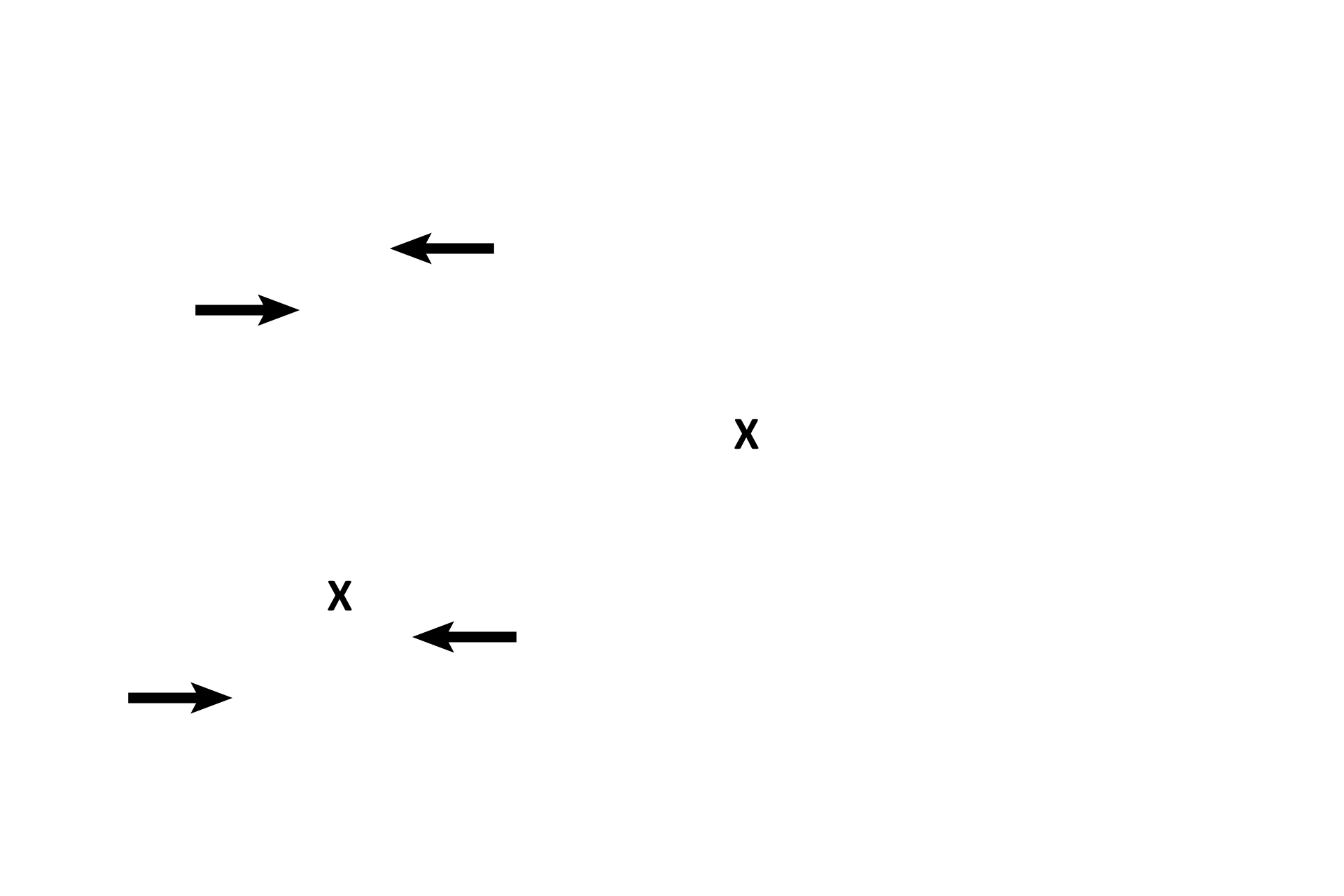CN VIII > <p>The cochlear division of CN VIII innervates the auditory receptor, the organ of Corti. Peripheral processes leave the receptor and pass through the osseous spiral lamina to reach the spiral ganglion (arrows), where their bipolar nerve cell bodies are located. Central processes form CN VIII (X) and travel through the center of the modiolus to join the vestibular portion of this nerve.</p>

