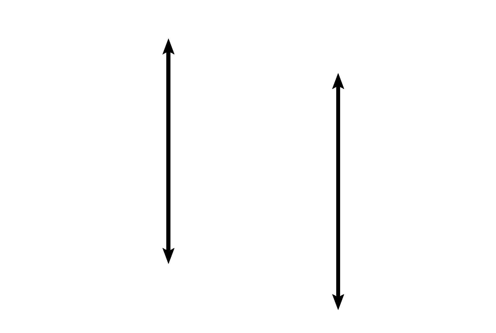 Lamina propria > <p>A lamina propria extends from the basement membrane to the perichondrium. Elastic fibers form a distinct layer in this image, but the interlacing bundles of smooth muscle are difficult to identify</p>
