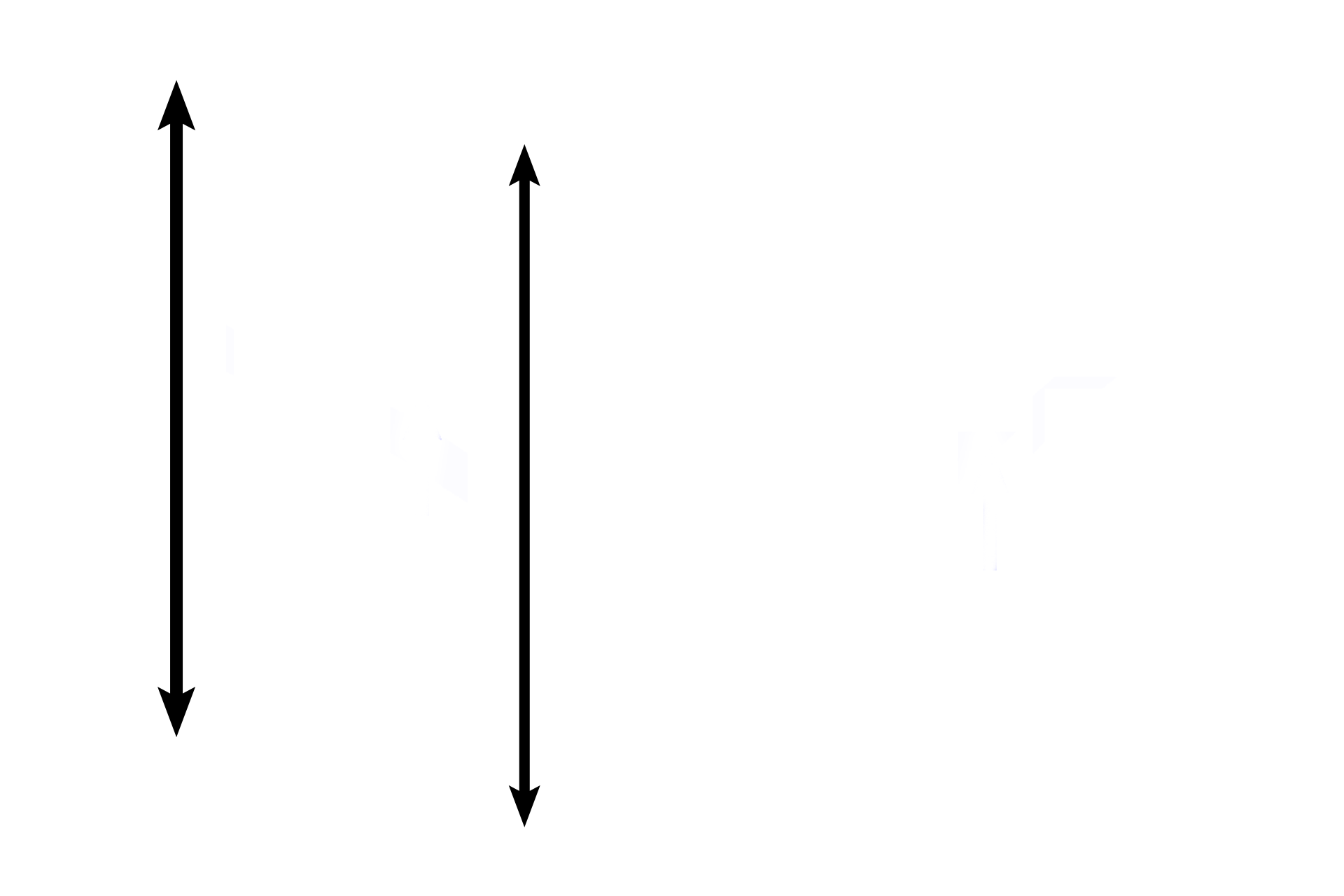 Lamina propria <p>Another image of the trachea or primary bronchus demonstrates the components forming the wall of these passageways. 100x</p>
